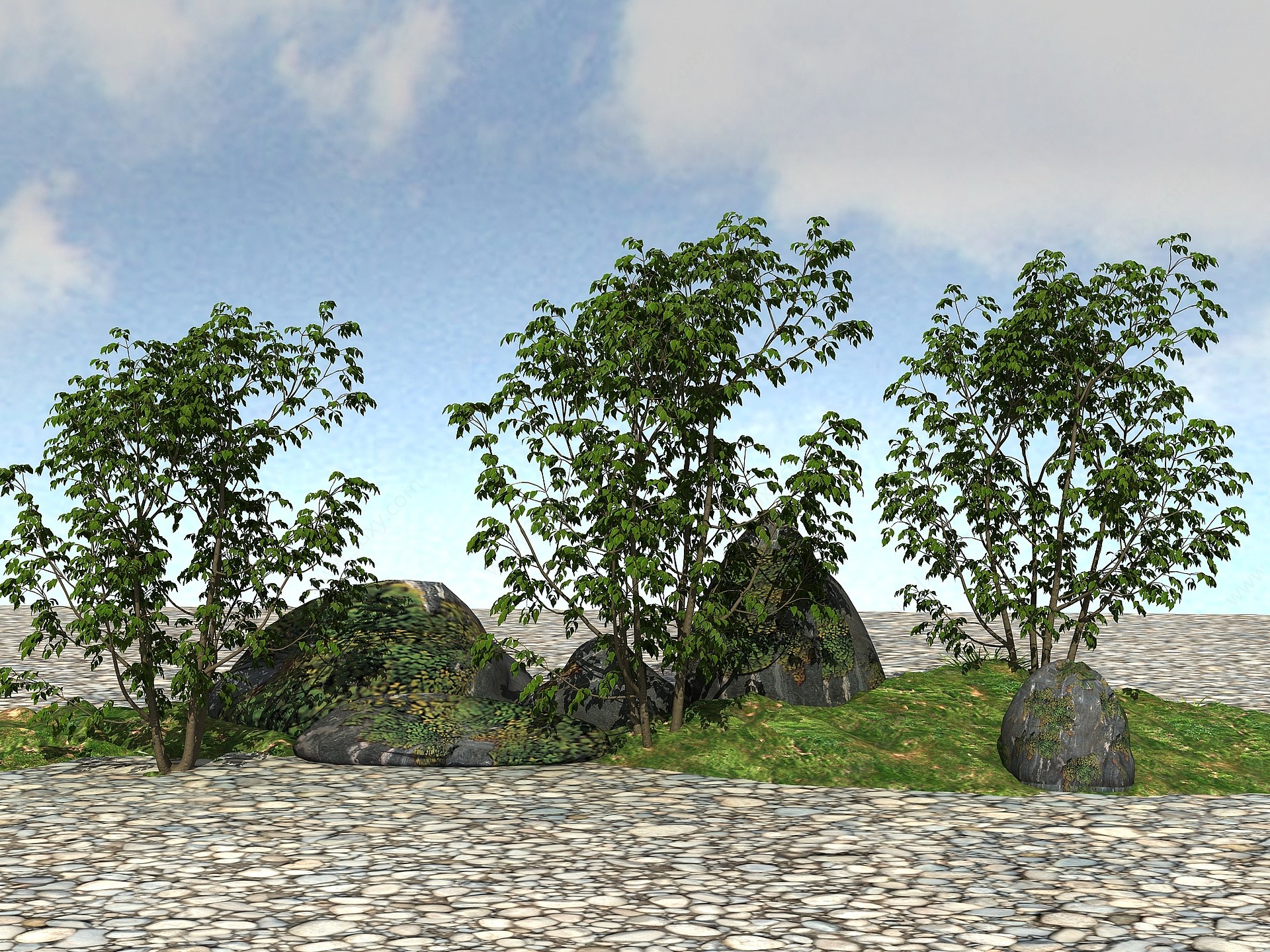 景观植物模型白蜡树3D模型