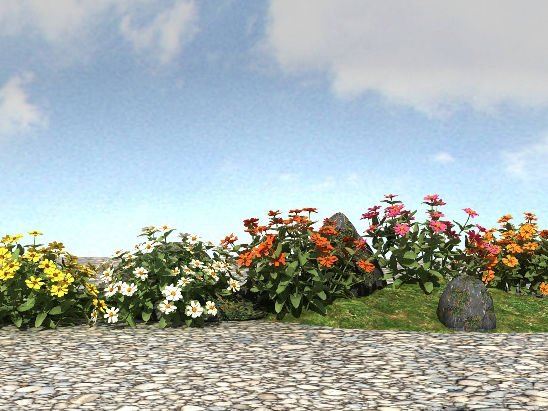 景观植物模型百日菊3D模型