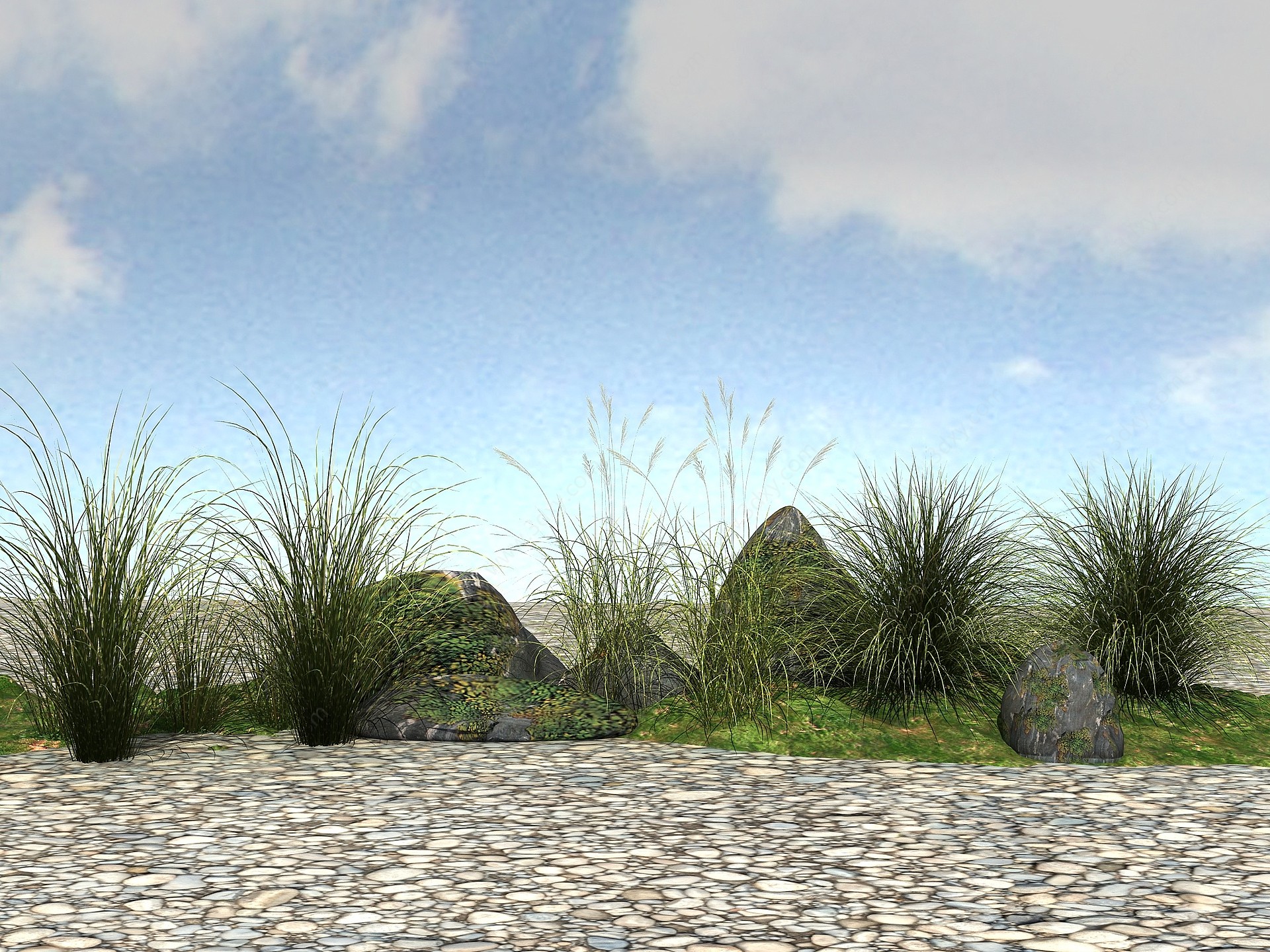 景观植物模型斑叶芒3D模型