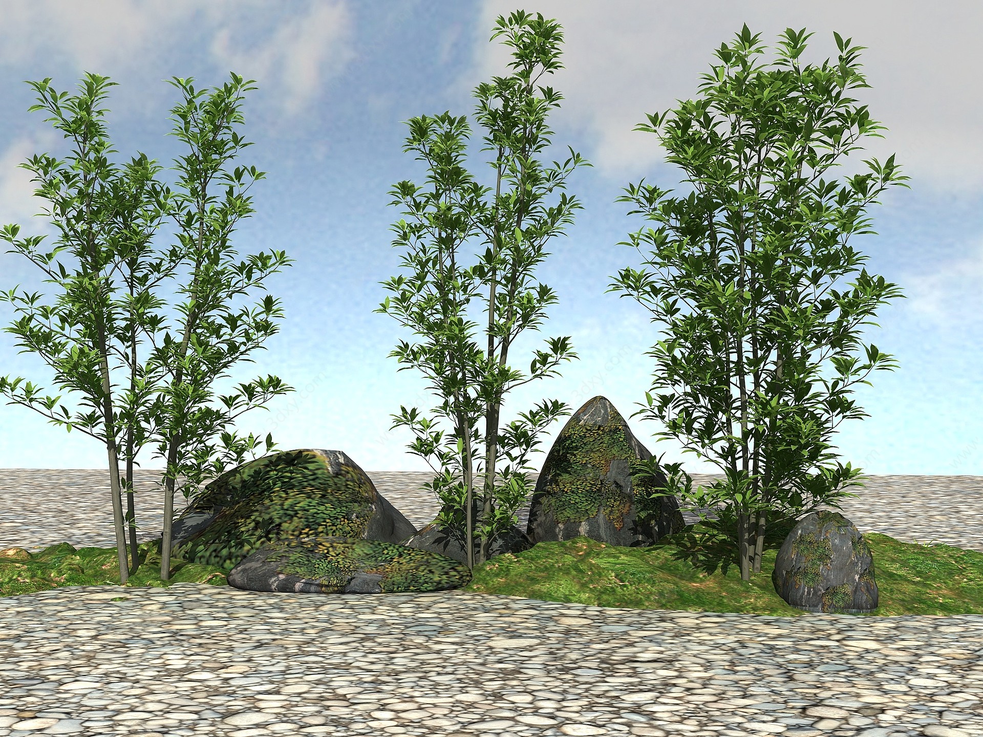 景观植物模型冬青树3D模型