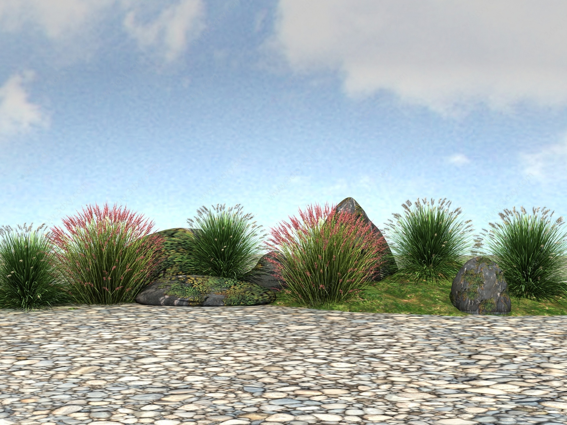 景观植物狼尾草3D模型