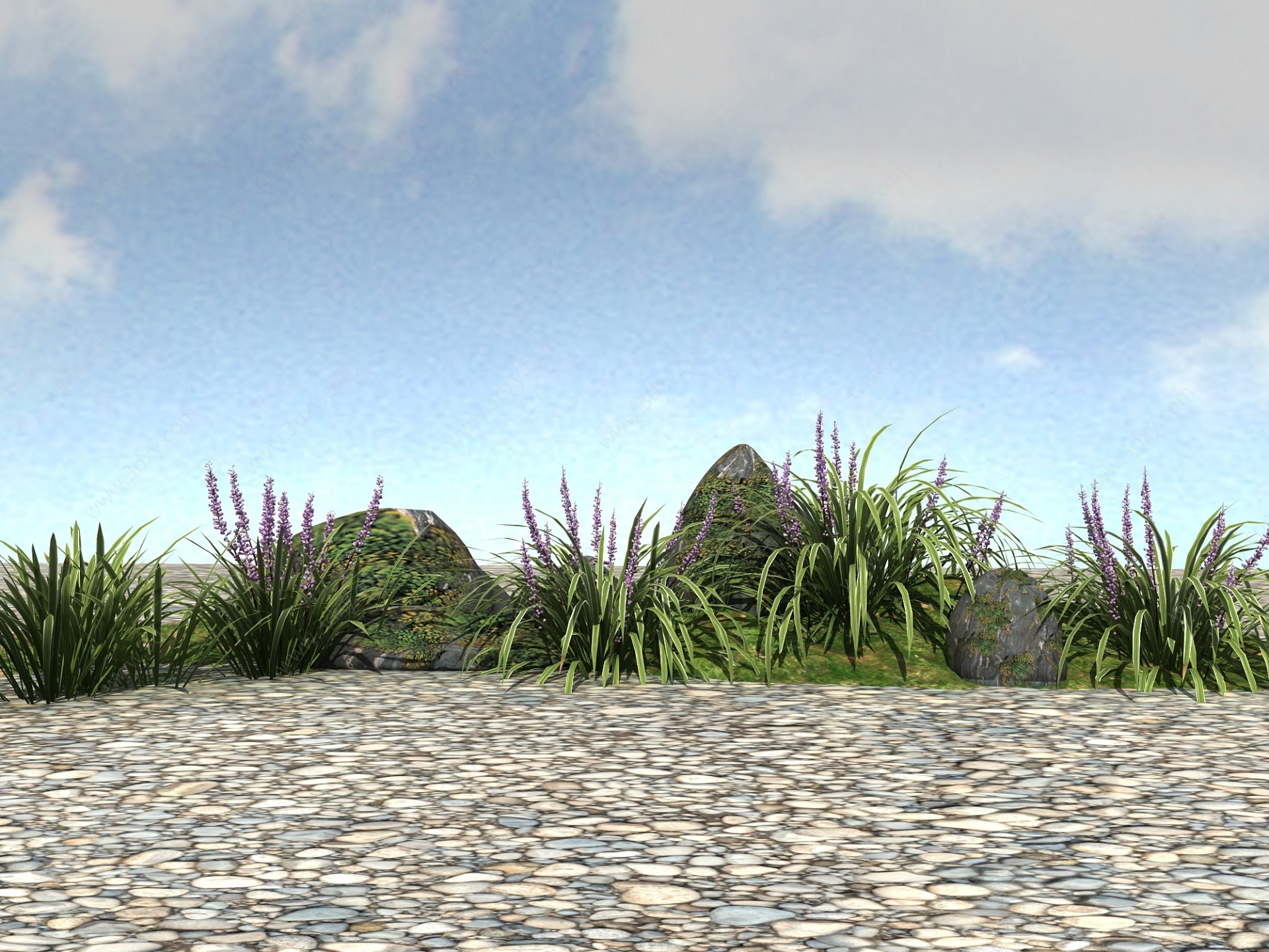 景观植物麦冬3D模型