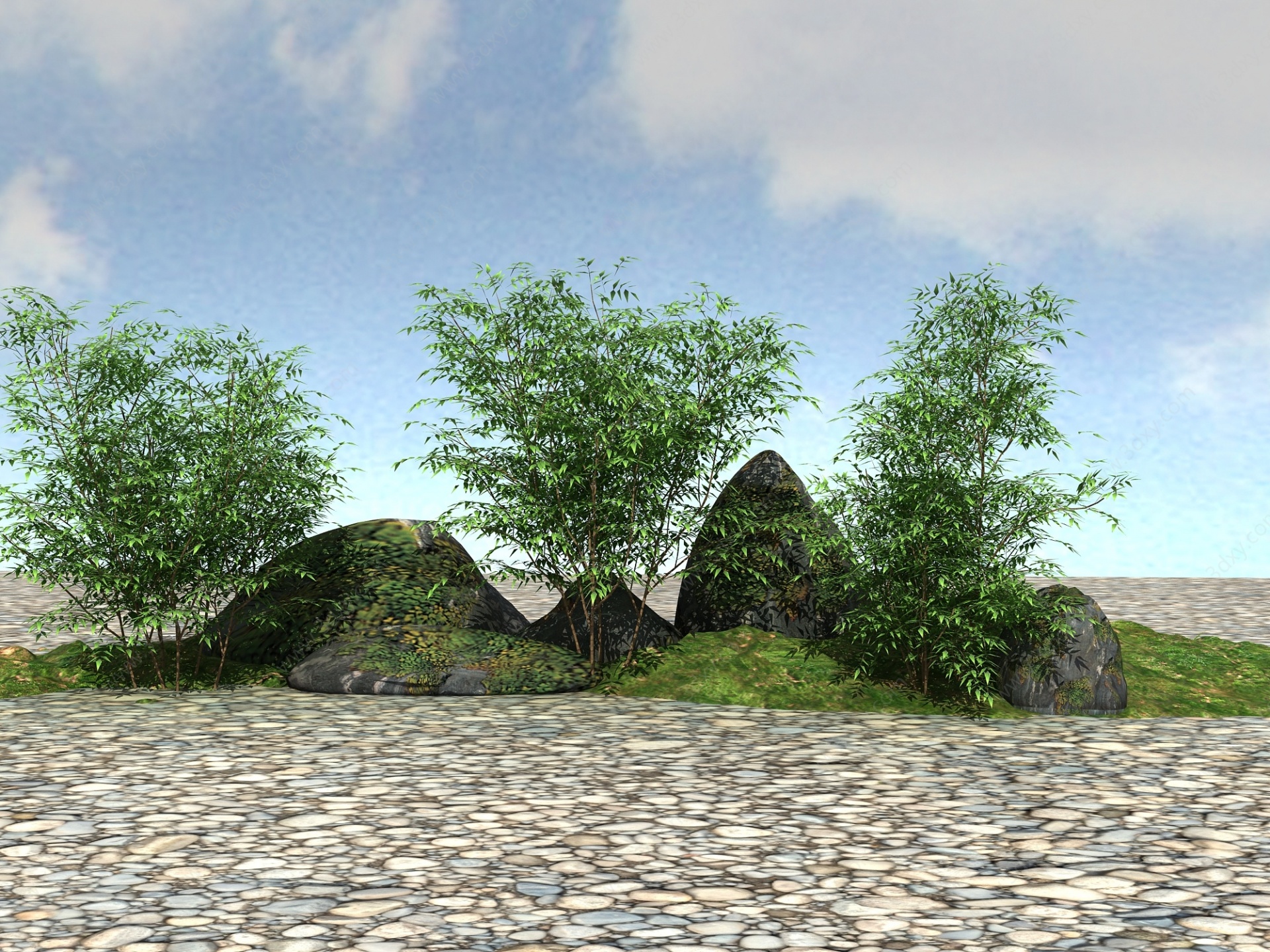景观植物南天竹3D模型