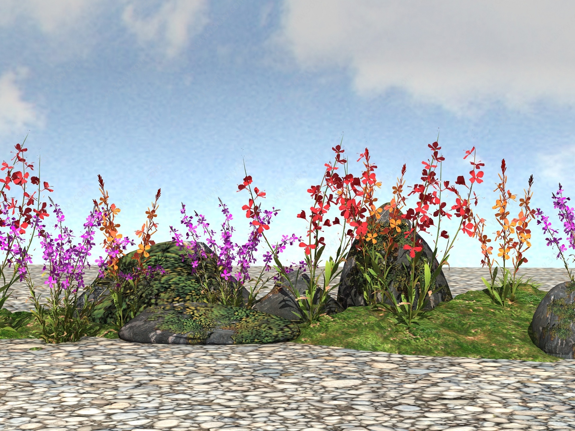景观植物山桃草3D模型