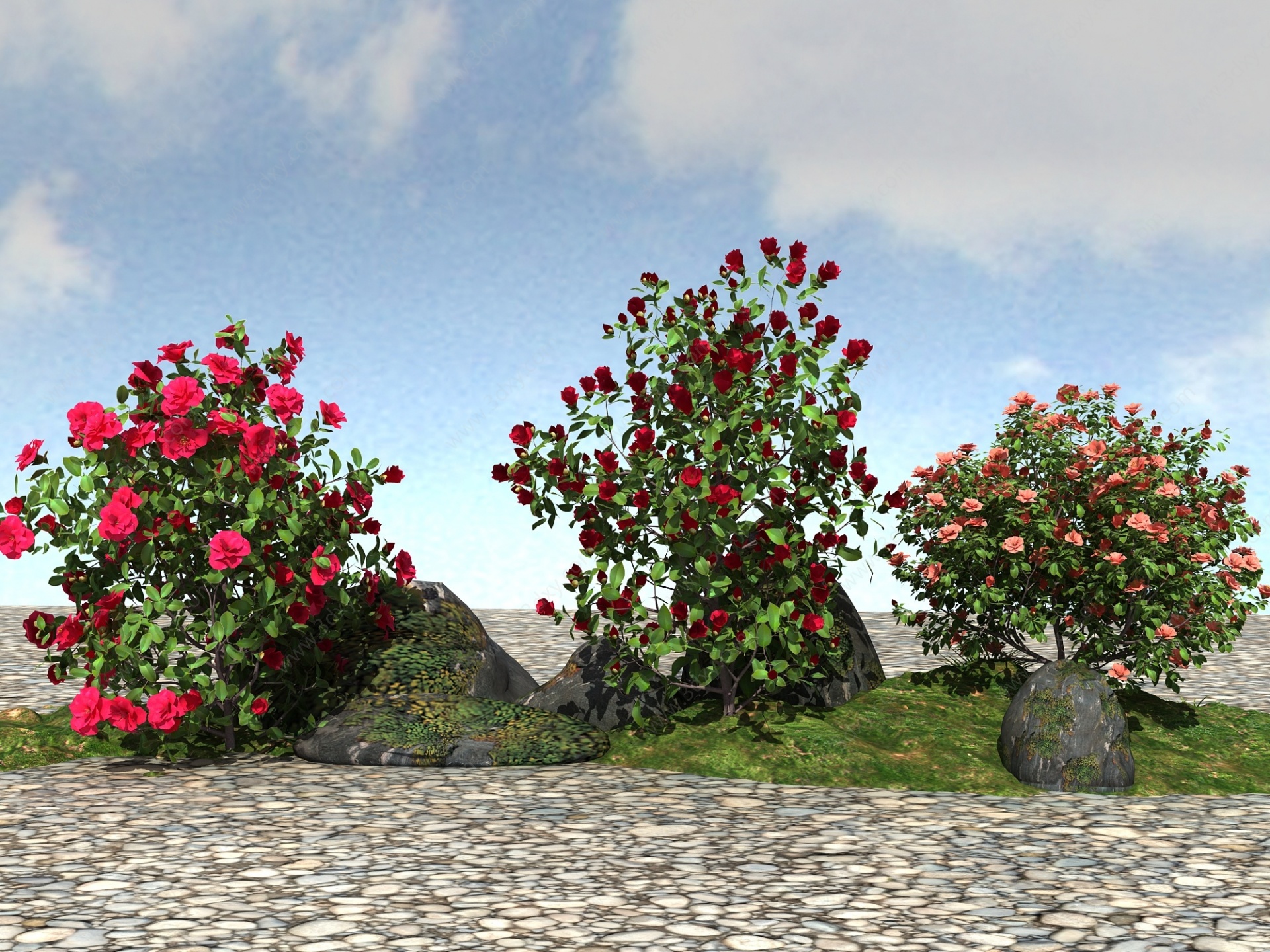 景观植物模型山茶花树3D模型