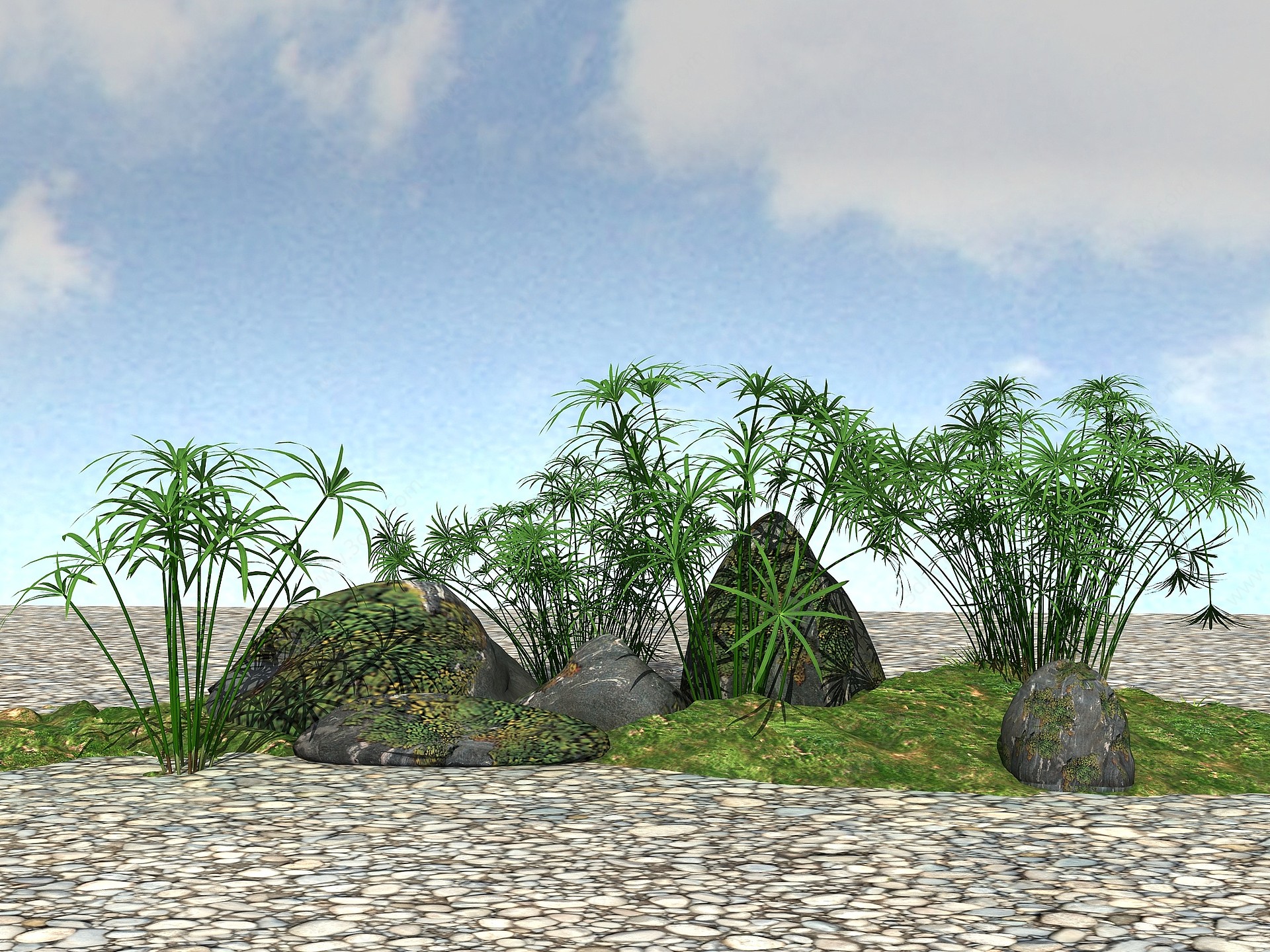 景观植物水竹3D模型