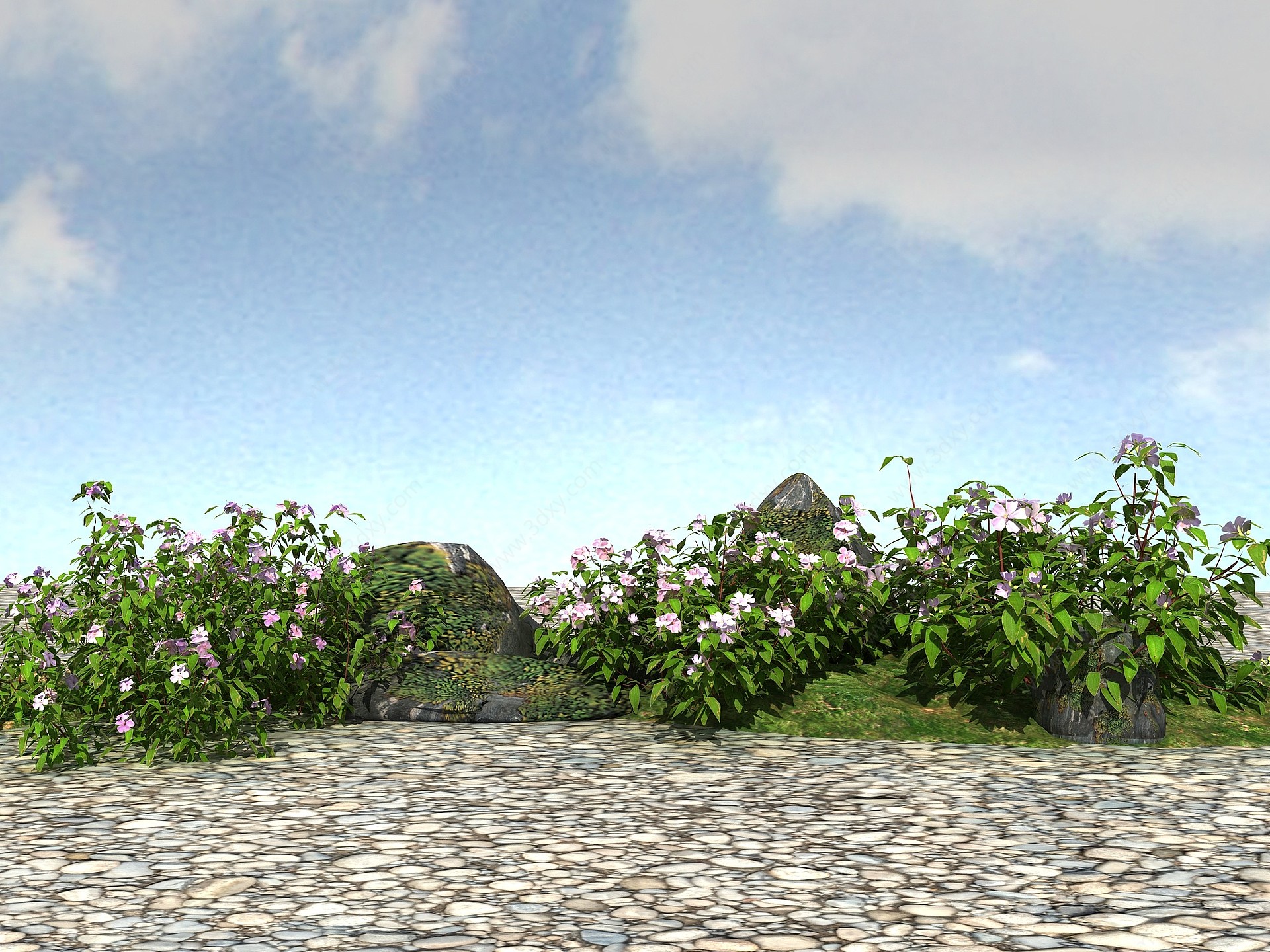 景观植物野牡丹3D模型