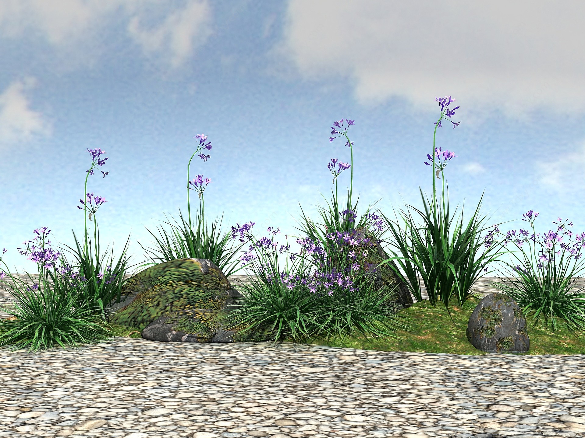 景观植物模型紫娇花3D模型