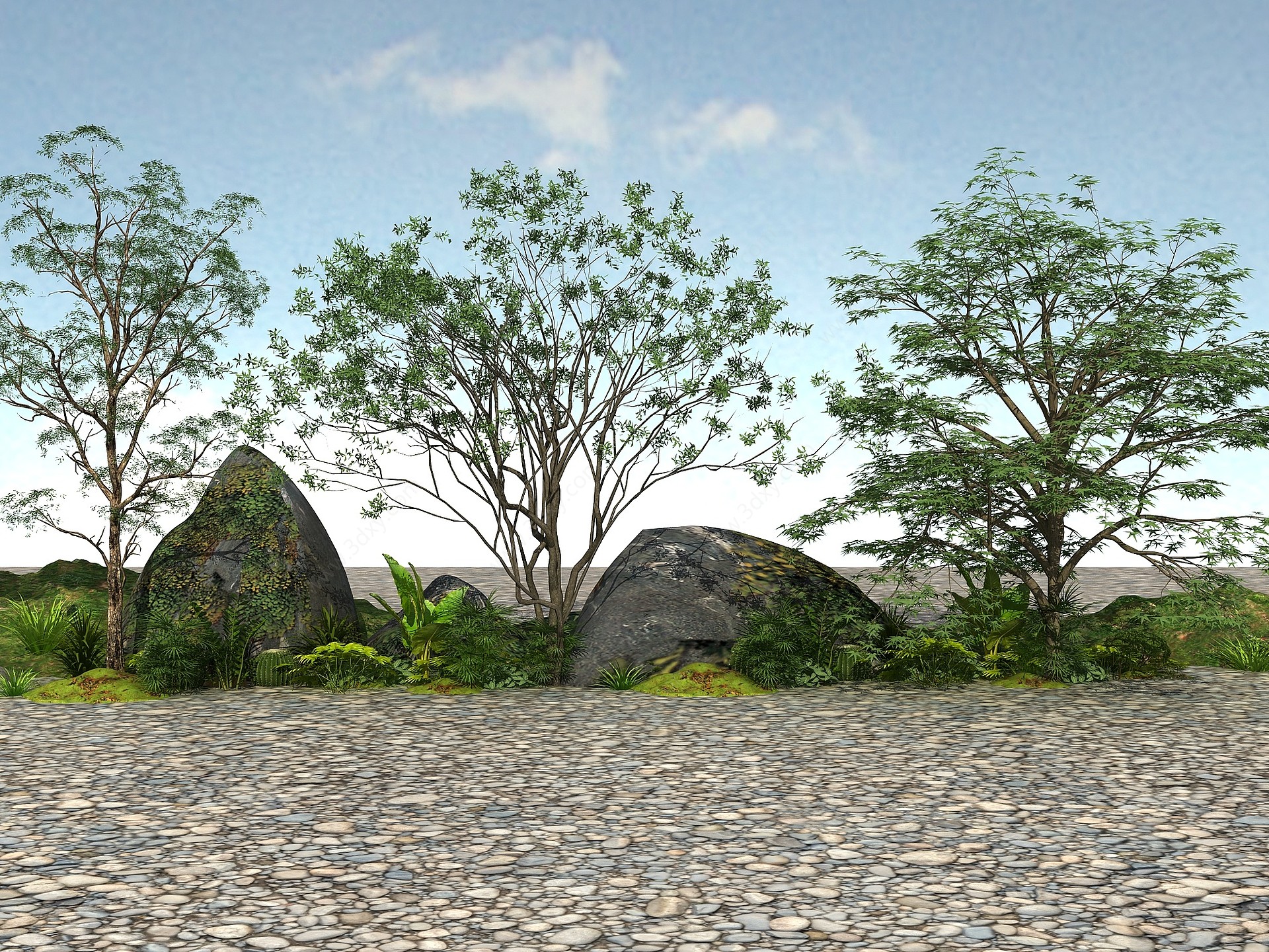 景观植物3D模型
