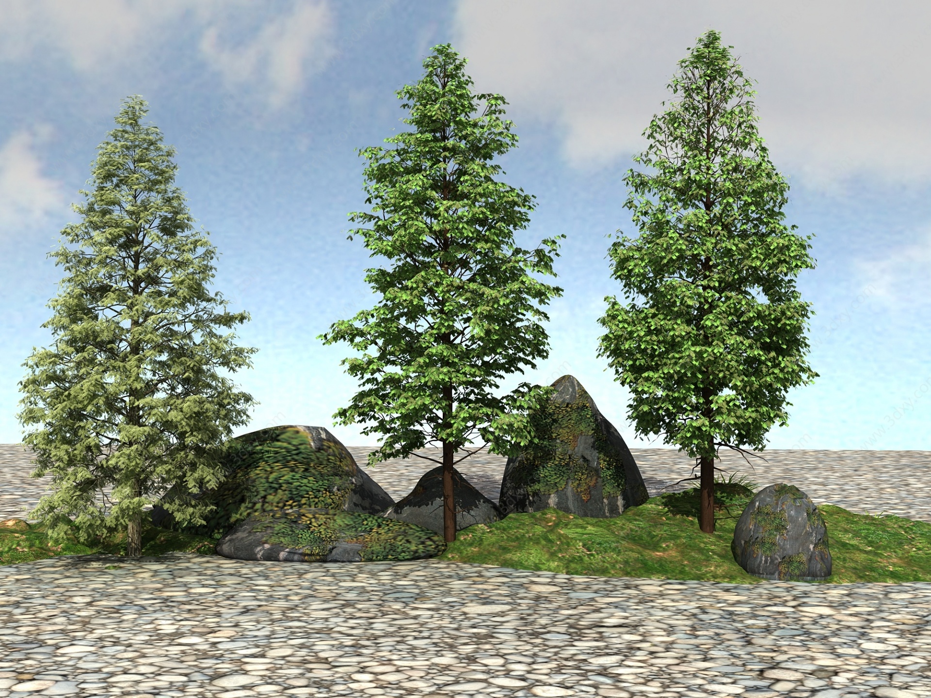 景观植物模型南水杉3D模型