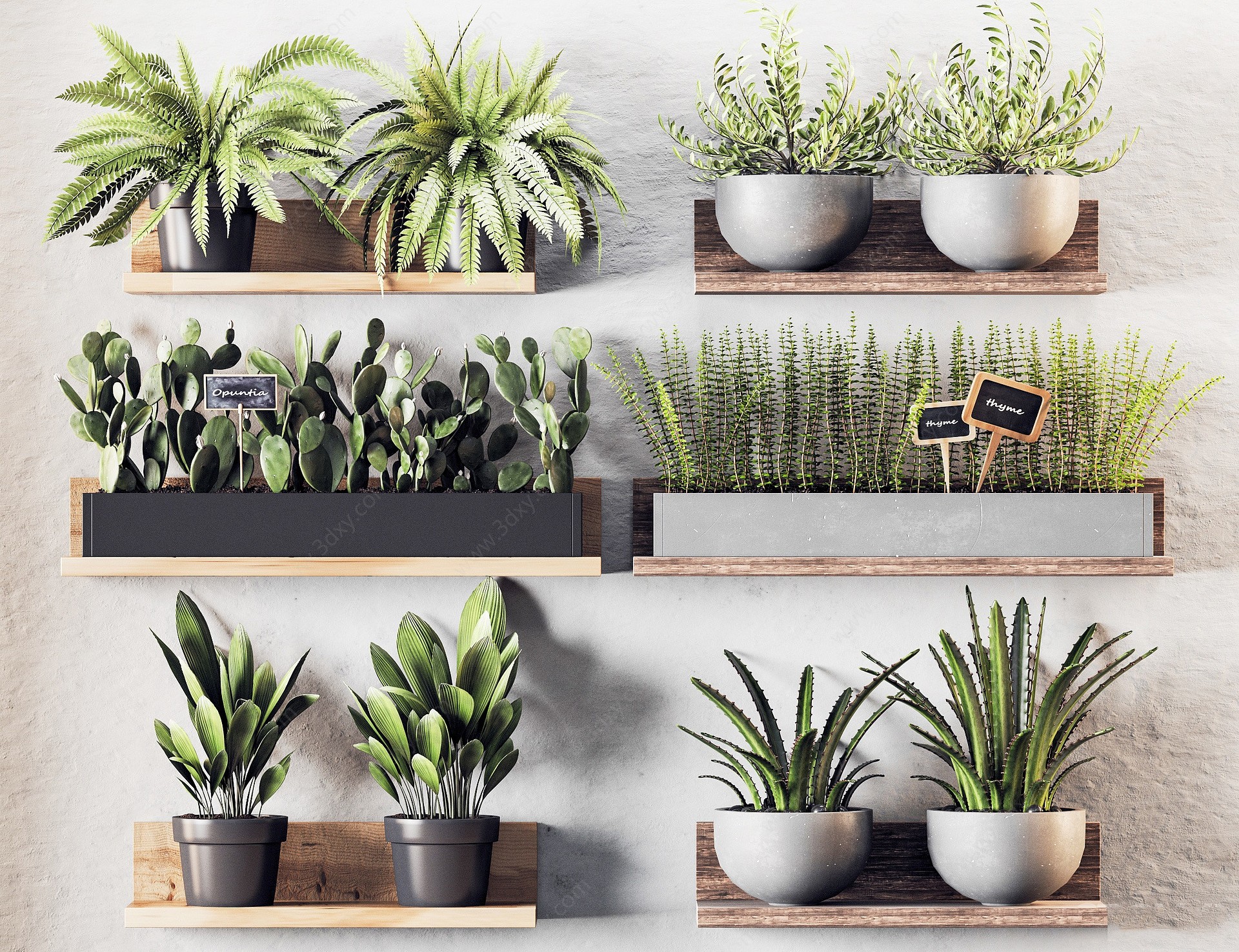 现代挂墙植物3D模型