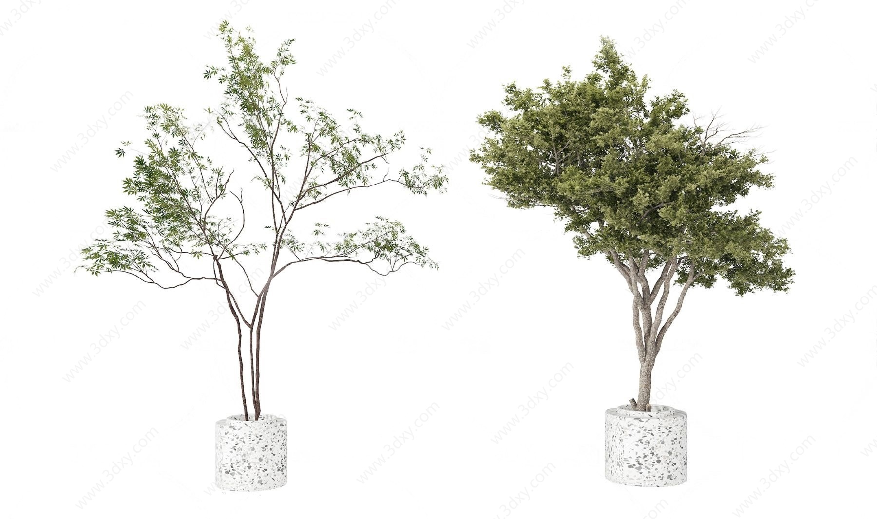 现代盆栽组合3D模型