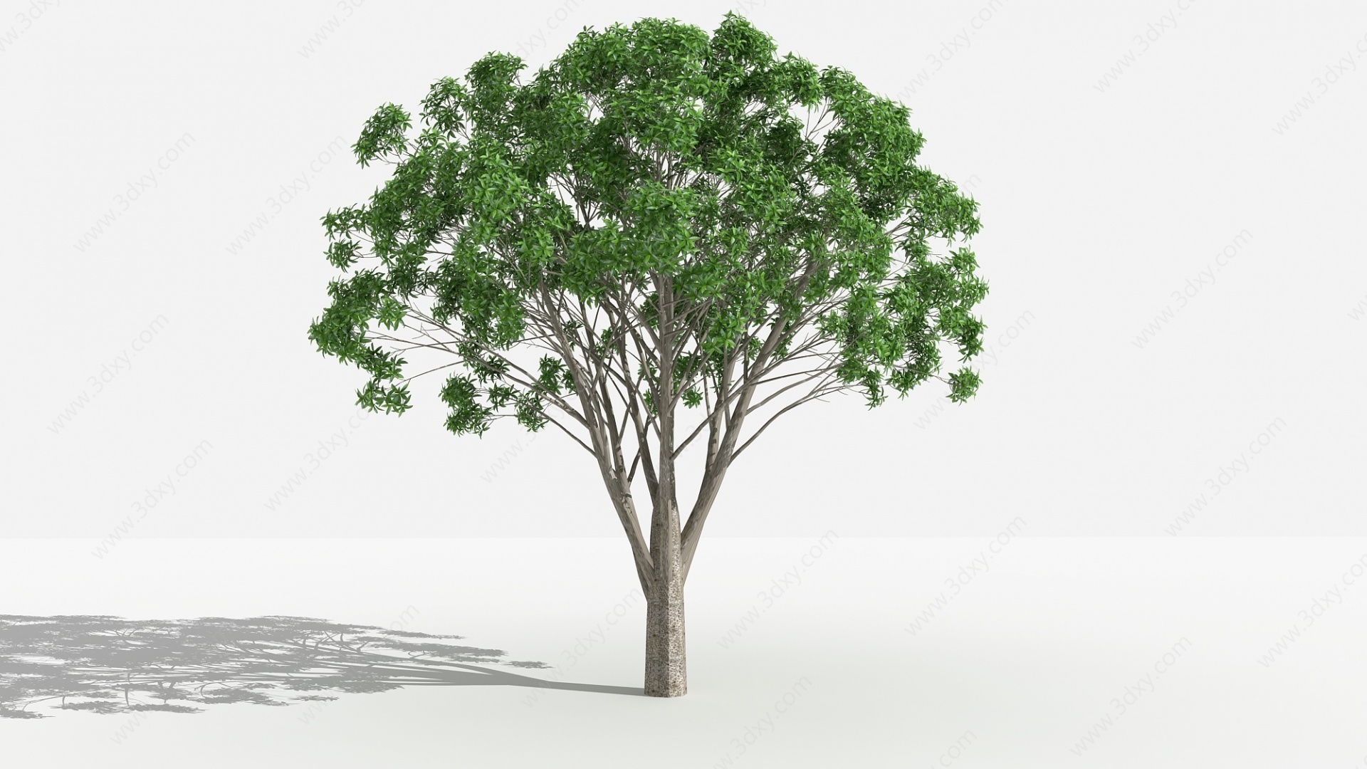 中式桂花灌木3D模型