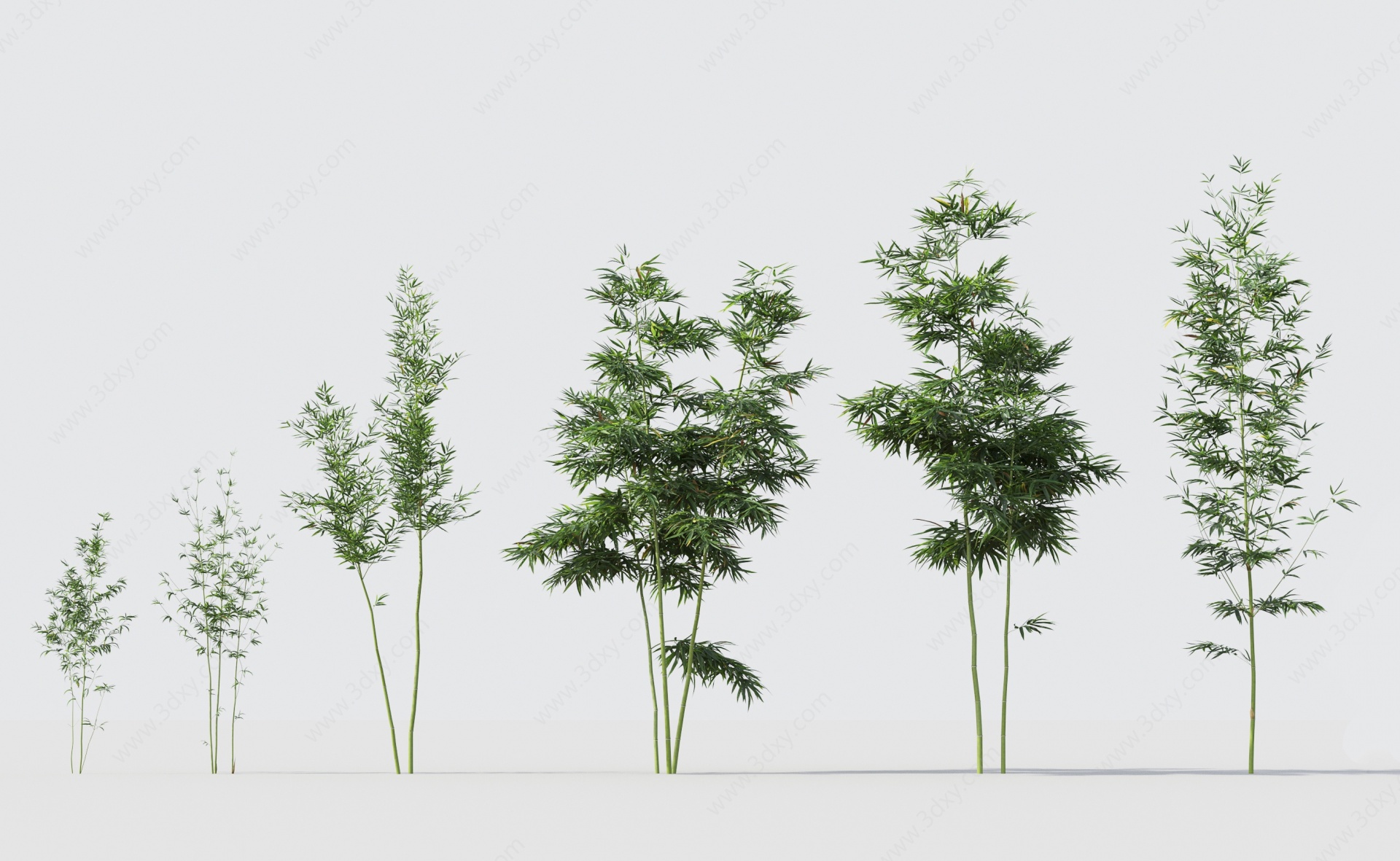 现代绿植竹子组合3D模型