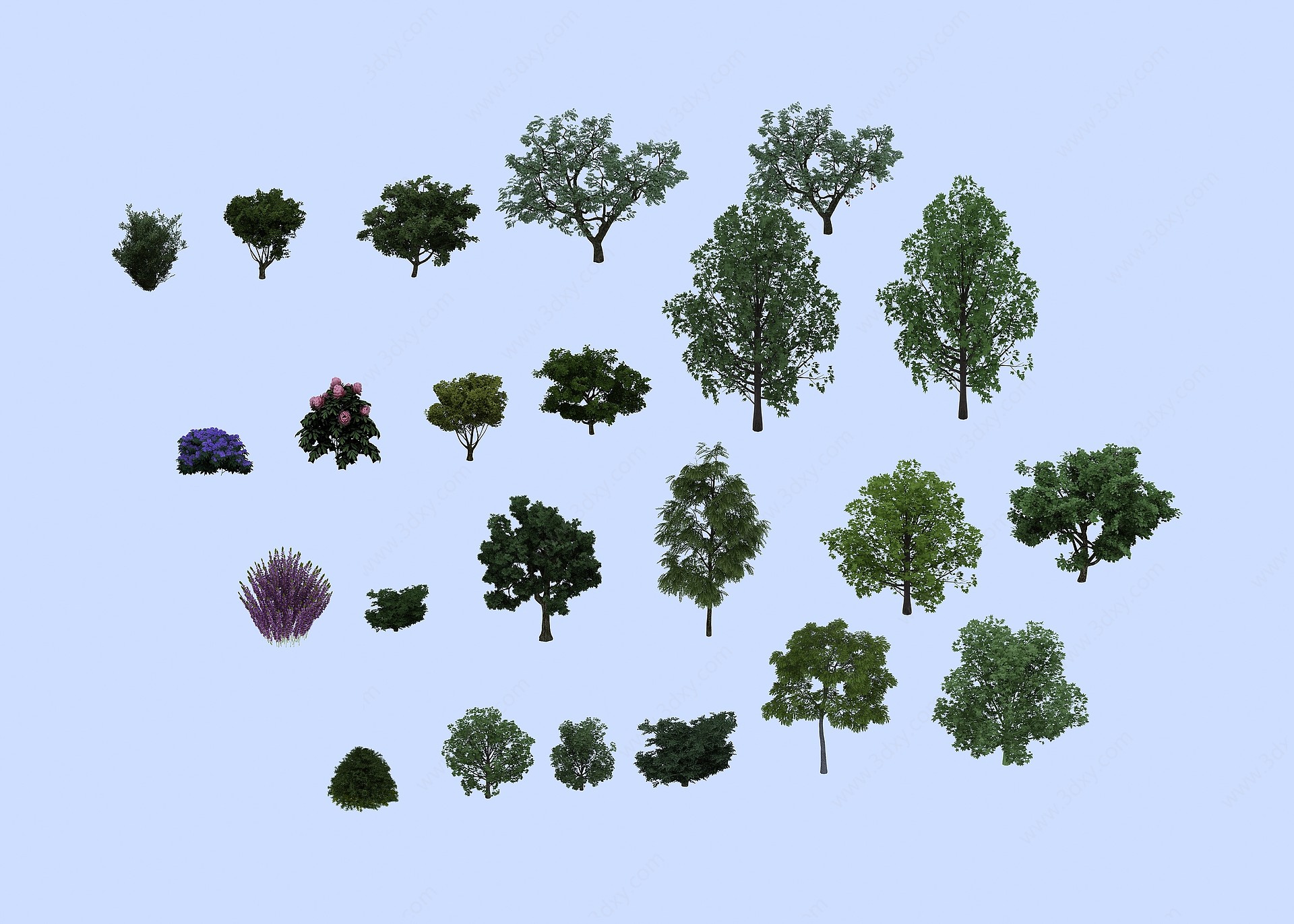 现代风格的树3D模型