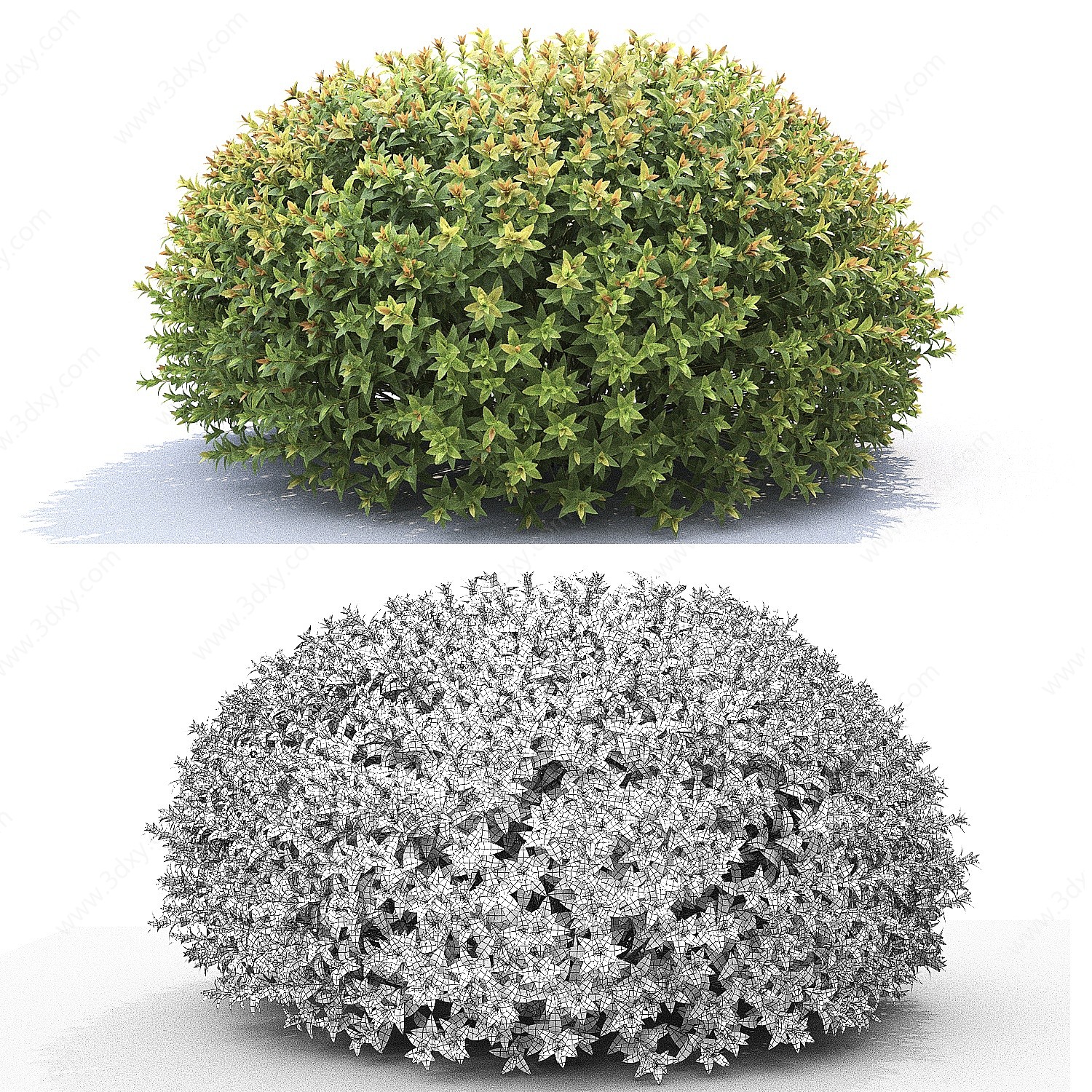 现代球形灌木3D模型