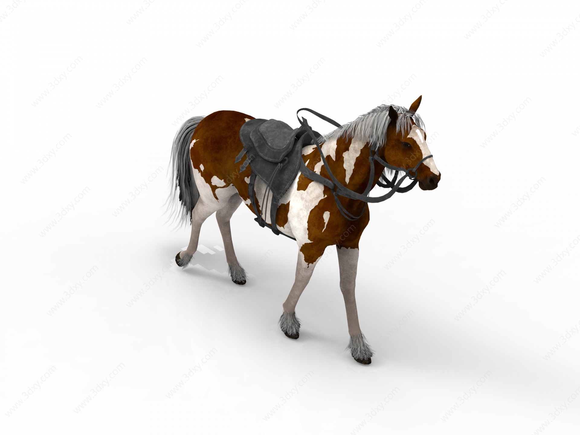 宠物马3D模型