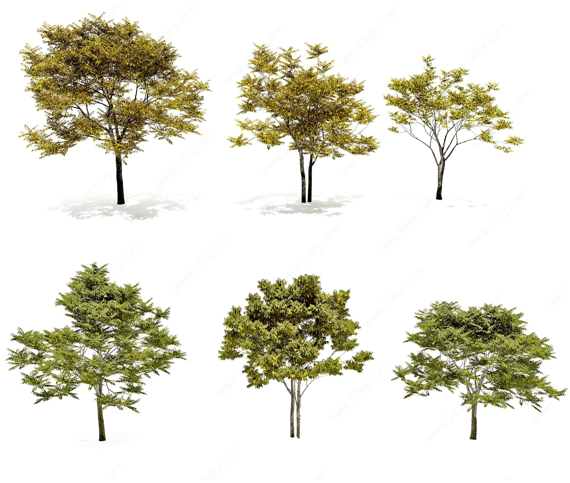 现代秋季景观树3D模型