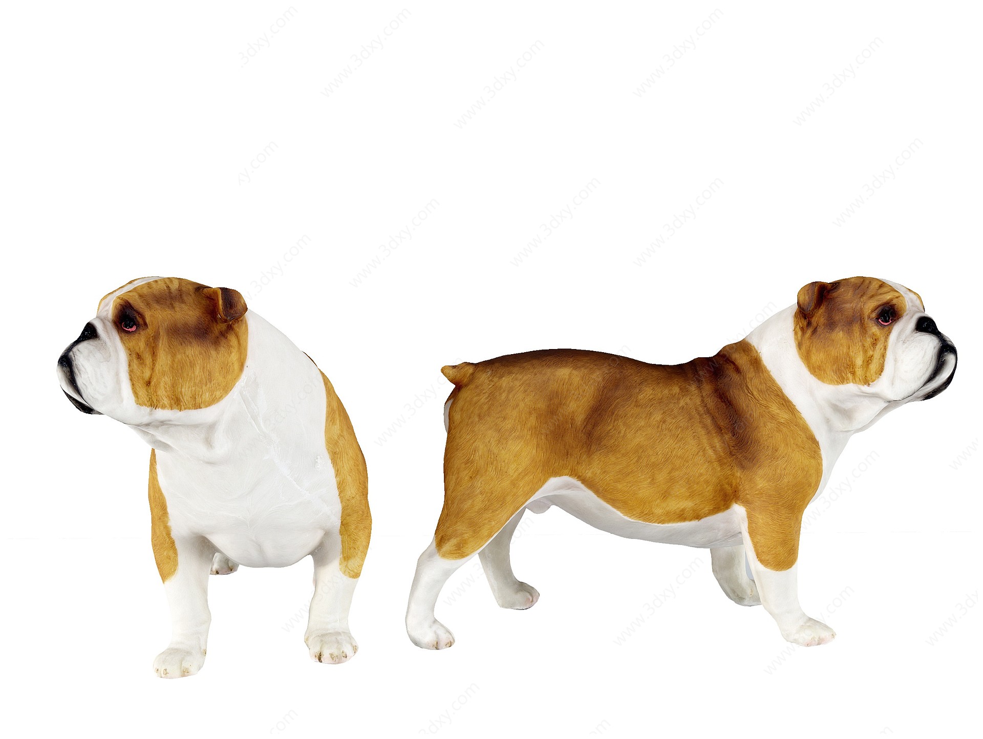 现代狗,宠物狗3D模型
