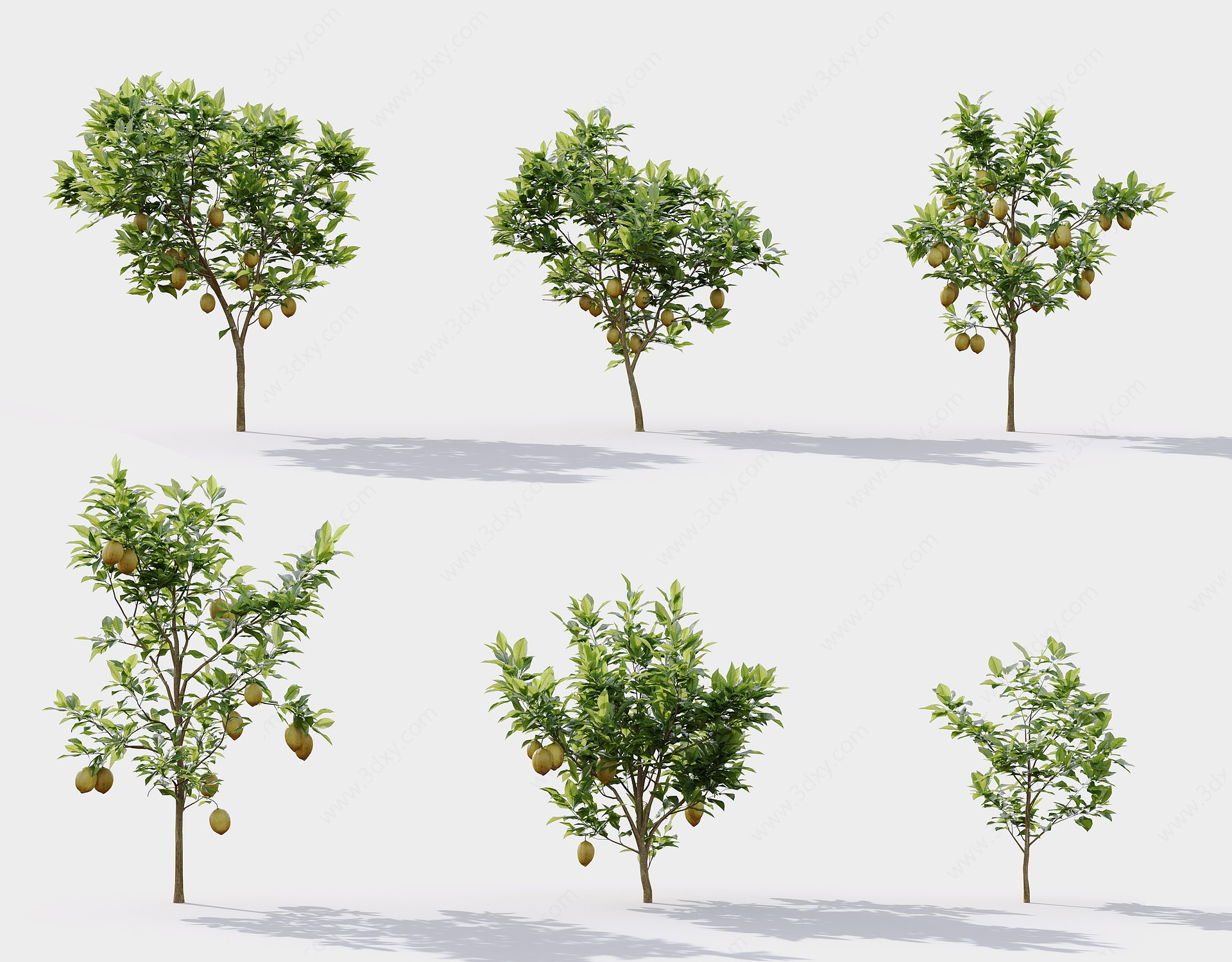 现代树果树草丛3D模型