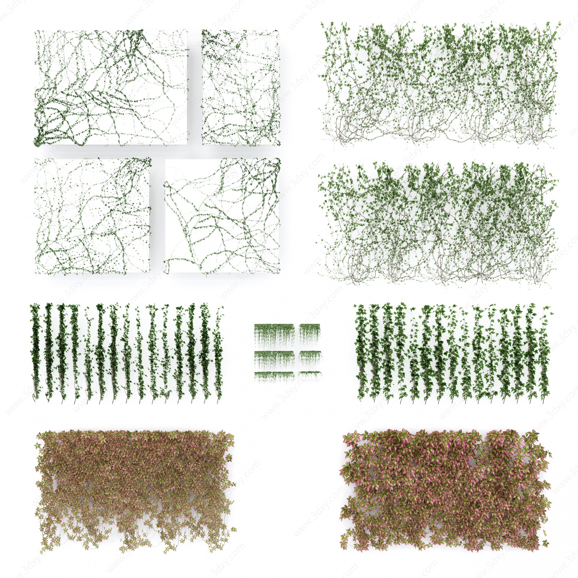 现代藤蔓植物3D模型