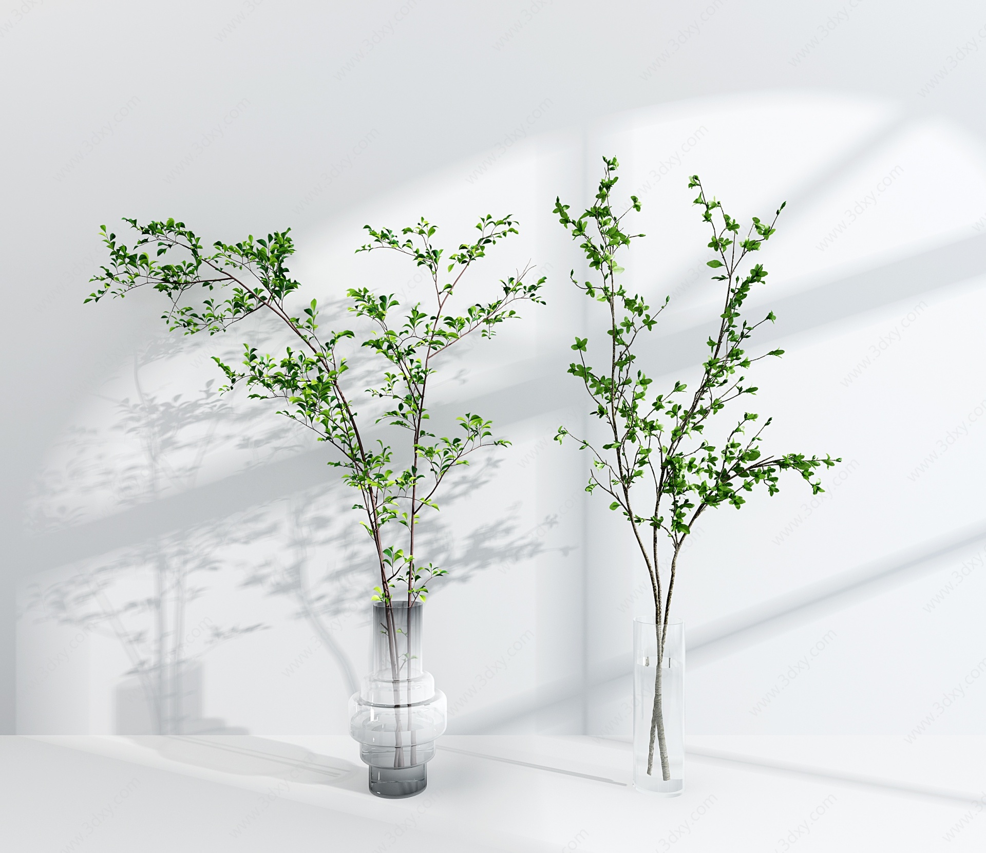 水生植物玻璃花瓶3D模型