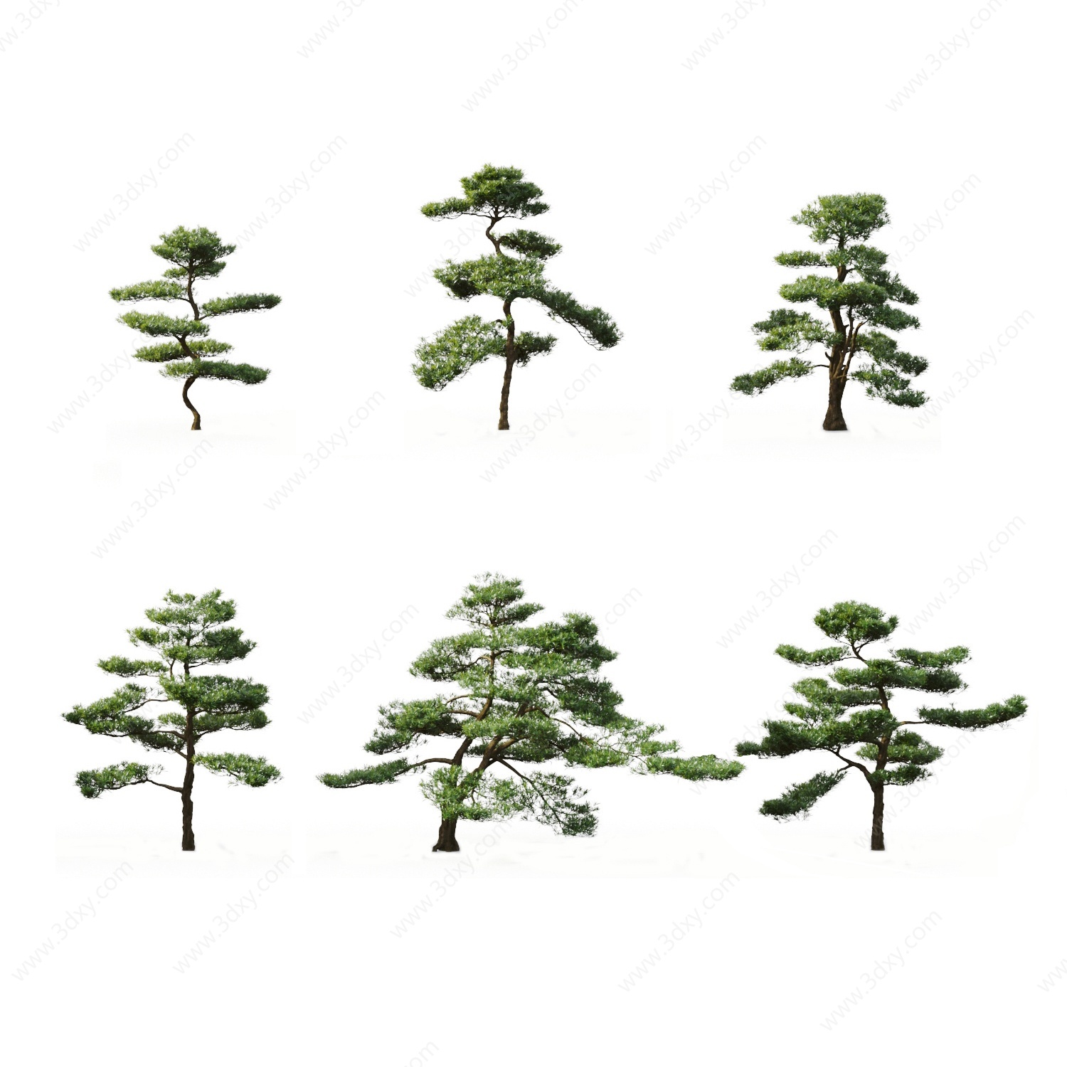 现代中式景观松树组合3D模型