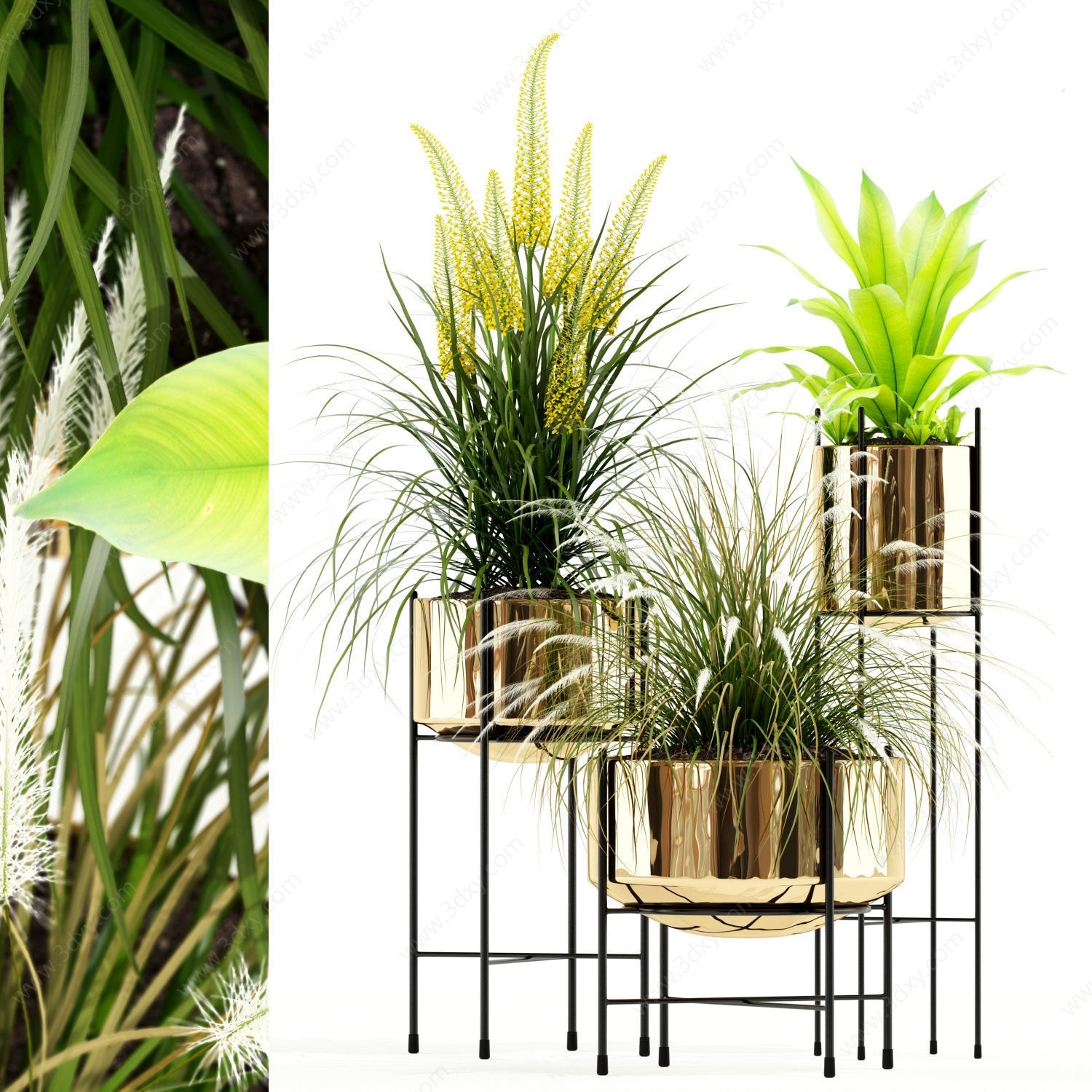 现代植物盆栽花盆3D模型