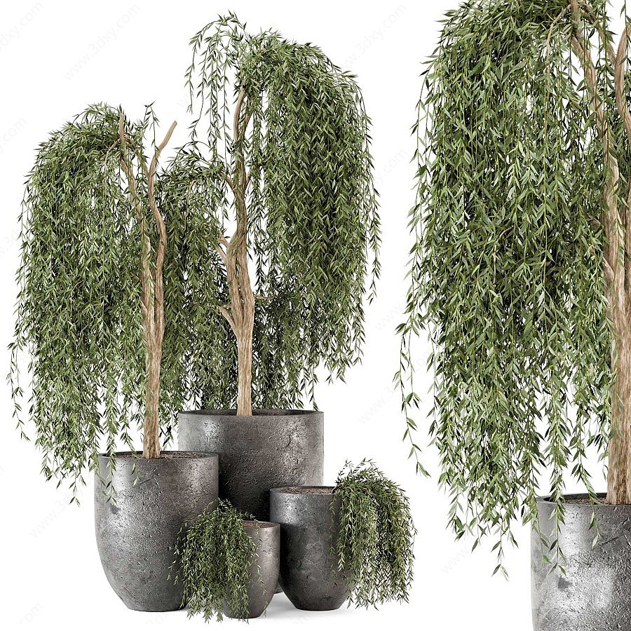 现代盆栽植物3D模型