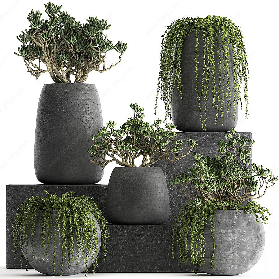 混凝土花盆植物3D模型