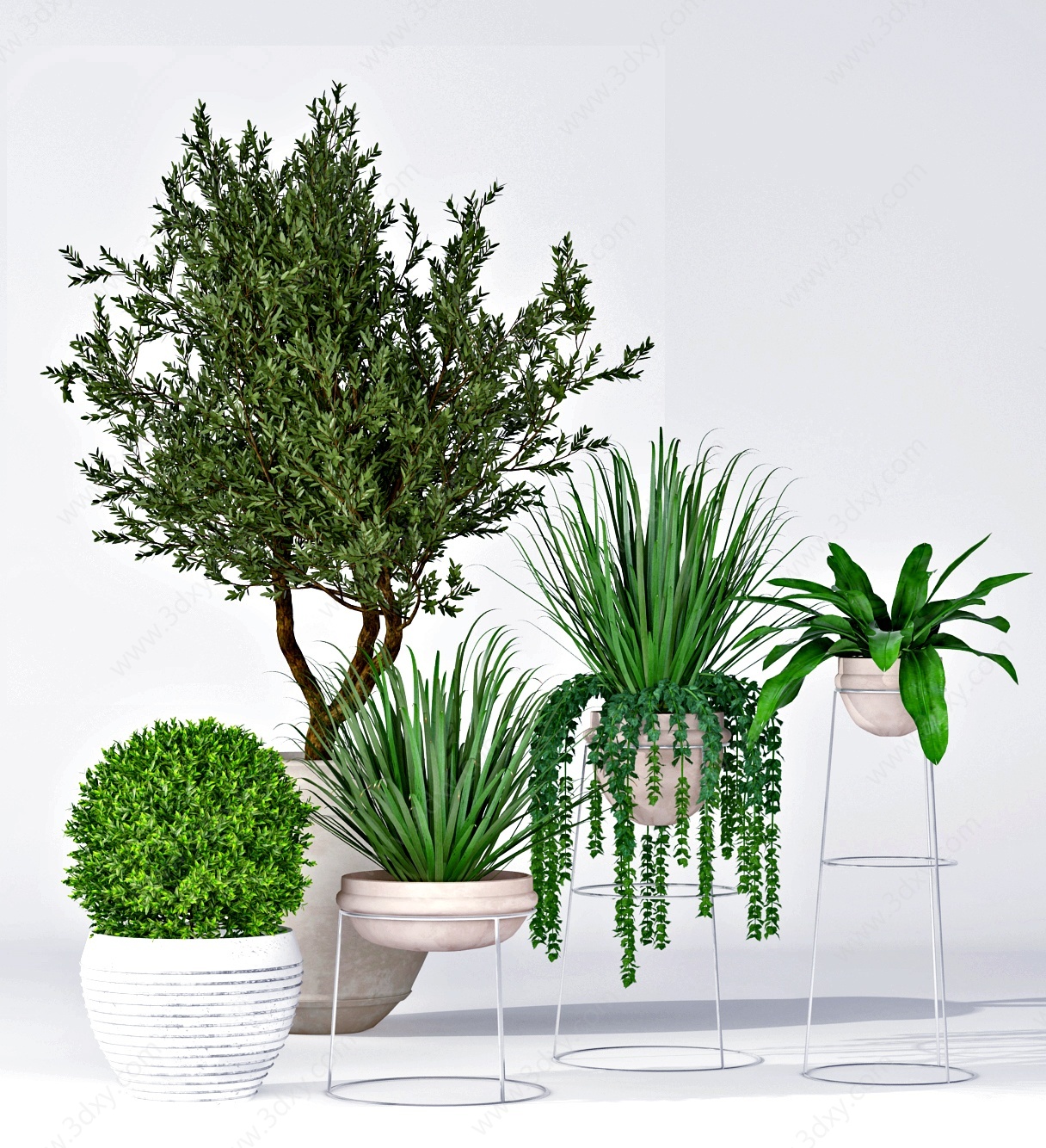 现代绿植盆栽花盆3D模型