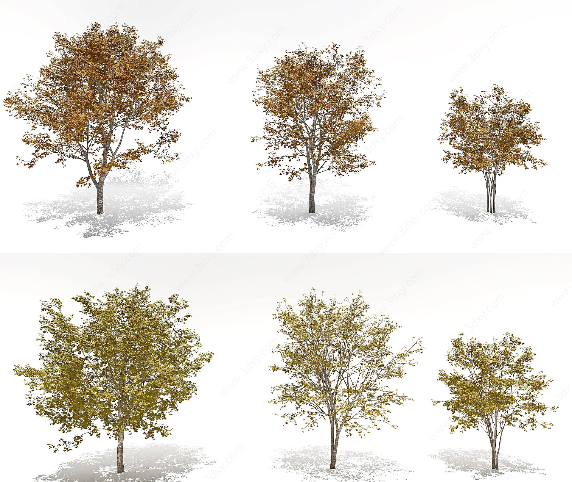 现代秋季树景观树3D模型