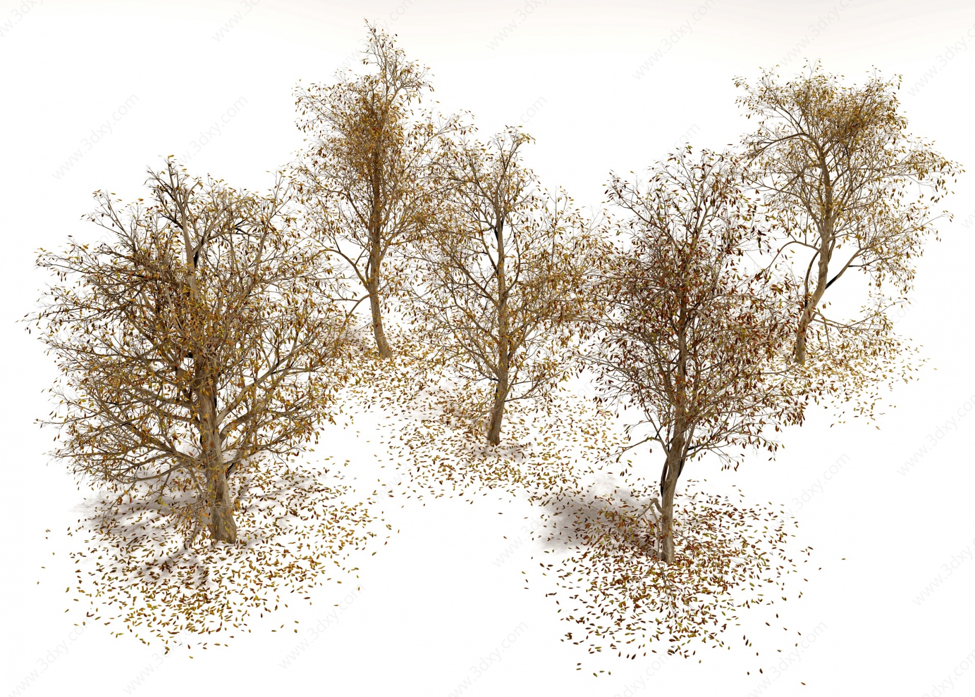 现代景观树枯树3D模型