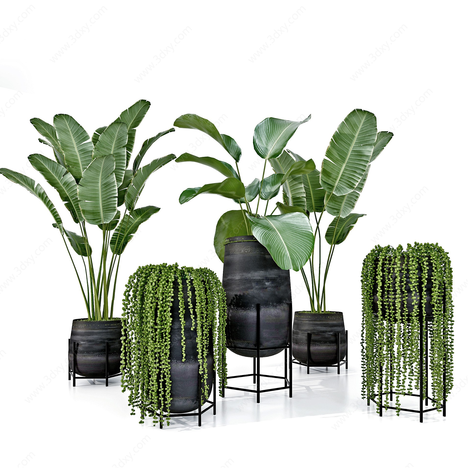 现代芭蕉绿植盆栽3D模型