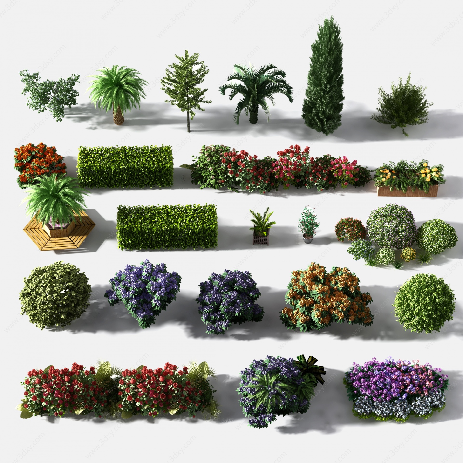 现代灌木圆形灌木植物3D模型