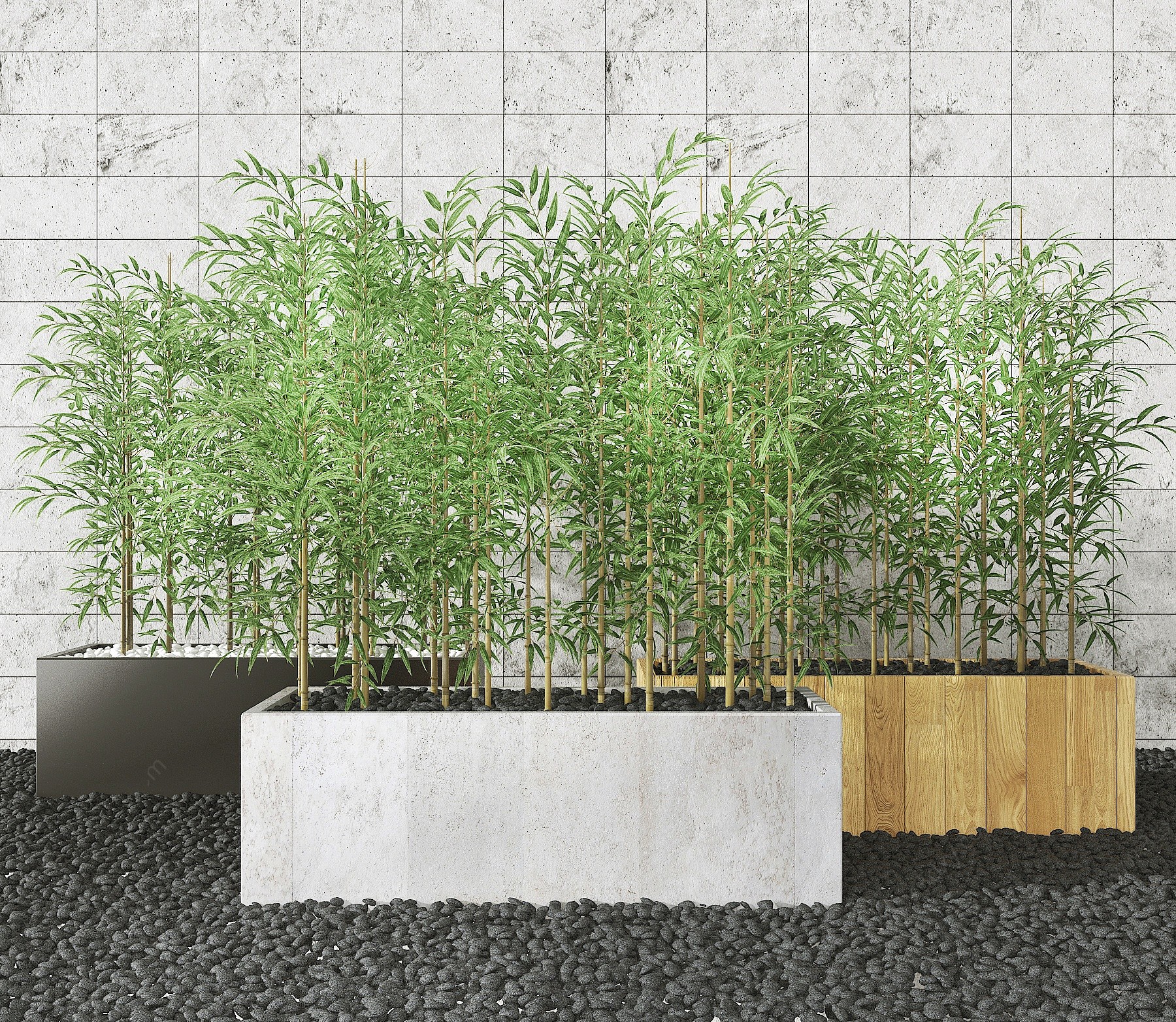 现代室外竹子盆栽3D模型