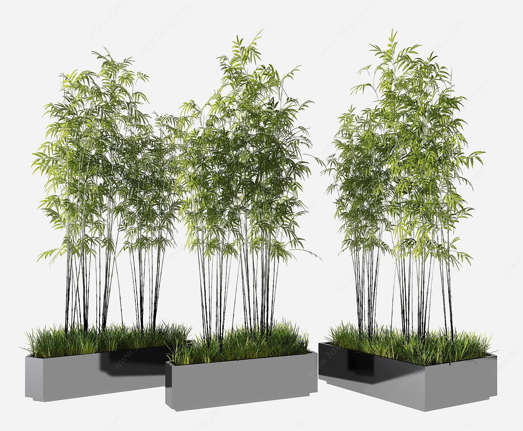 现代竹子盆栽3D模型
