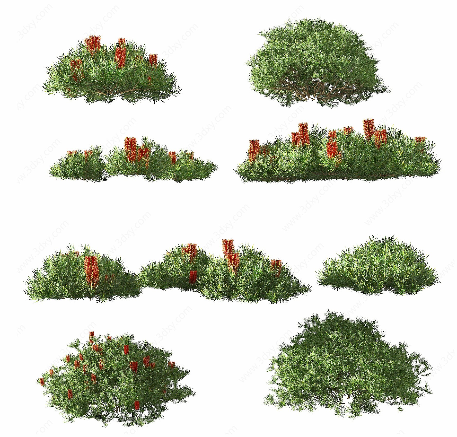 现代绿植灌木丛,3D模型