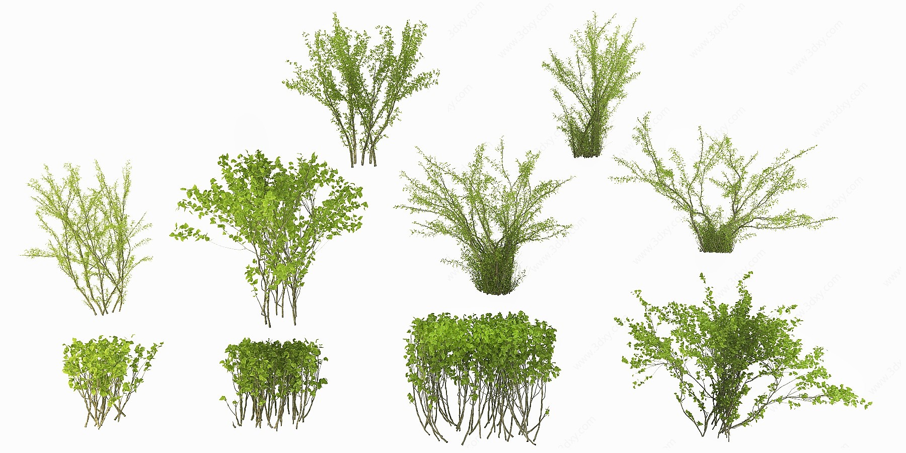 现代绿化灌木3D模型