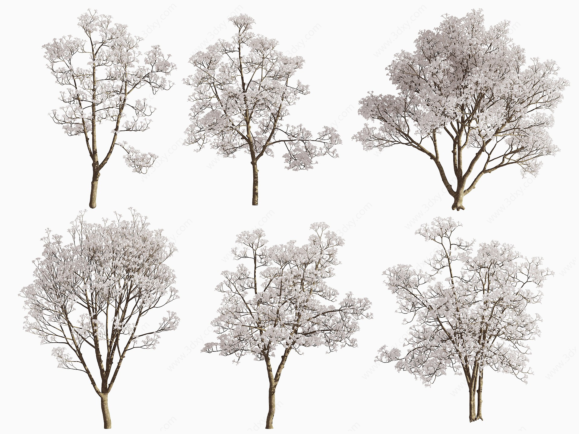 现代玉兰树景观树3D模型