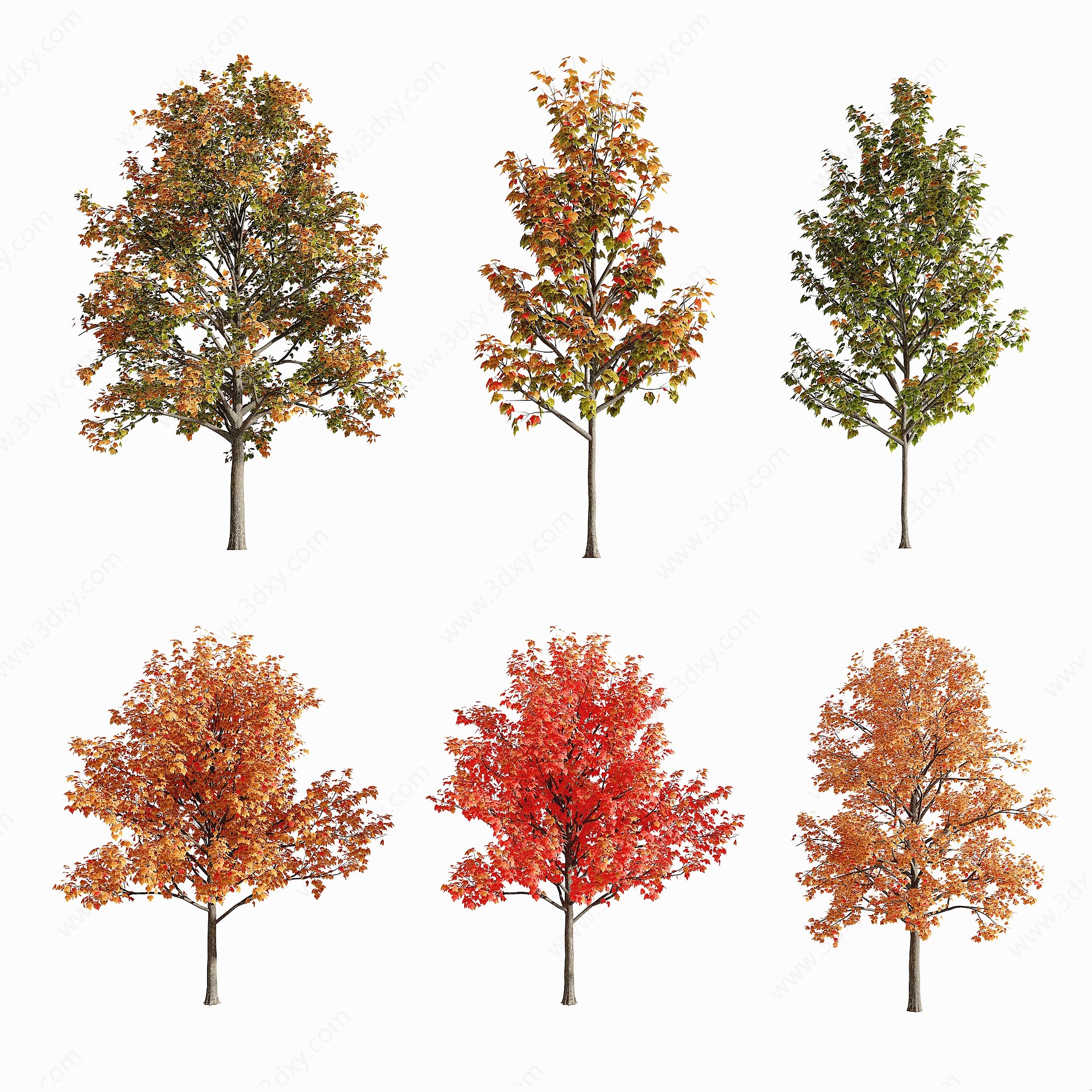 现代秋季树3D模型
