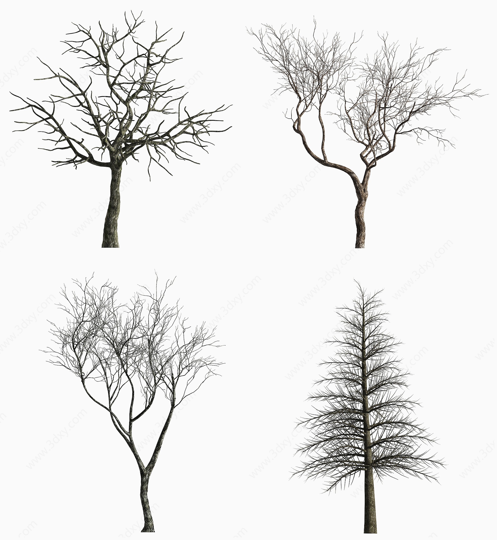 现代景观树枯木3D模型