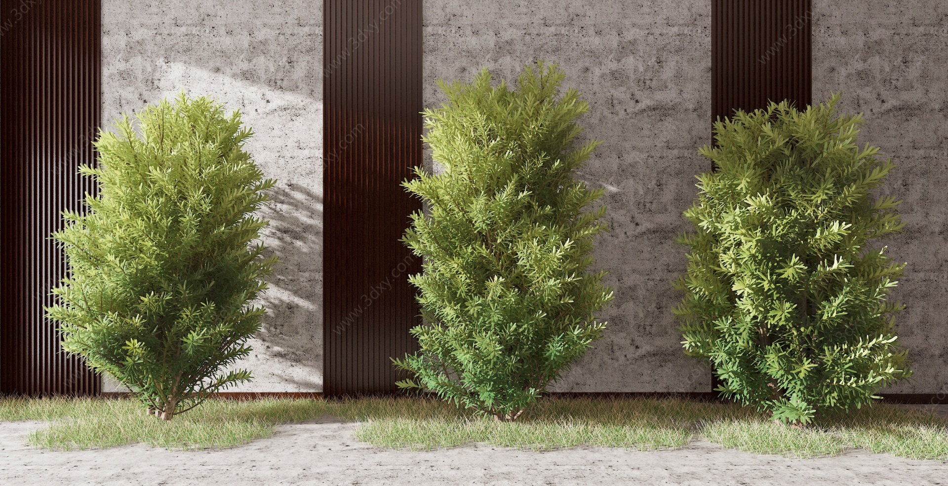 现代红豆杉景观树3D模型