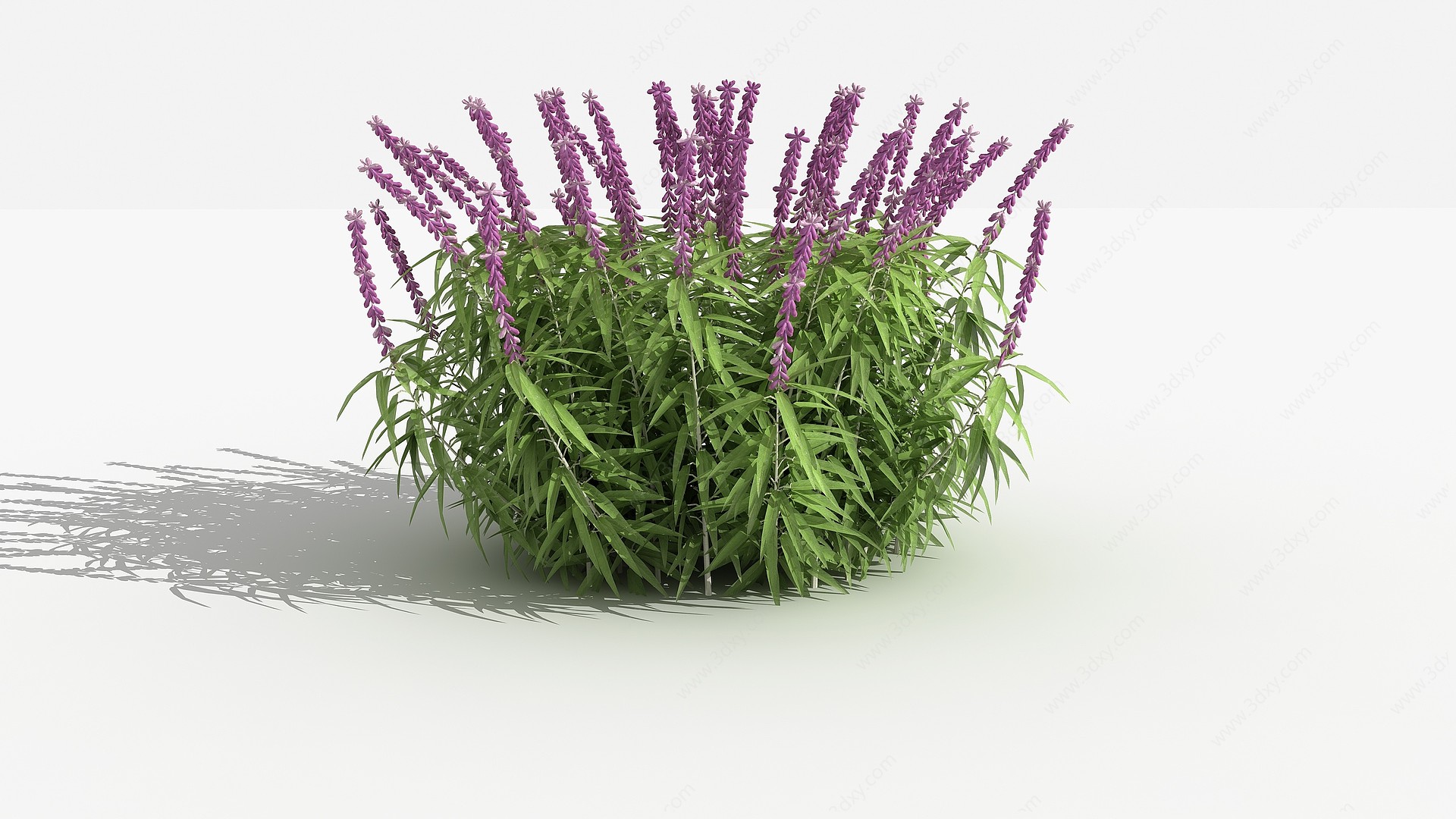 中式紫柳灌木树植物3D模型