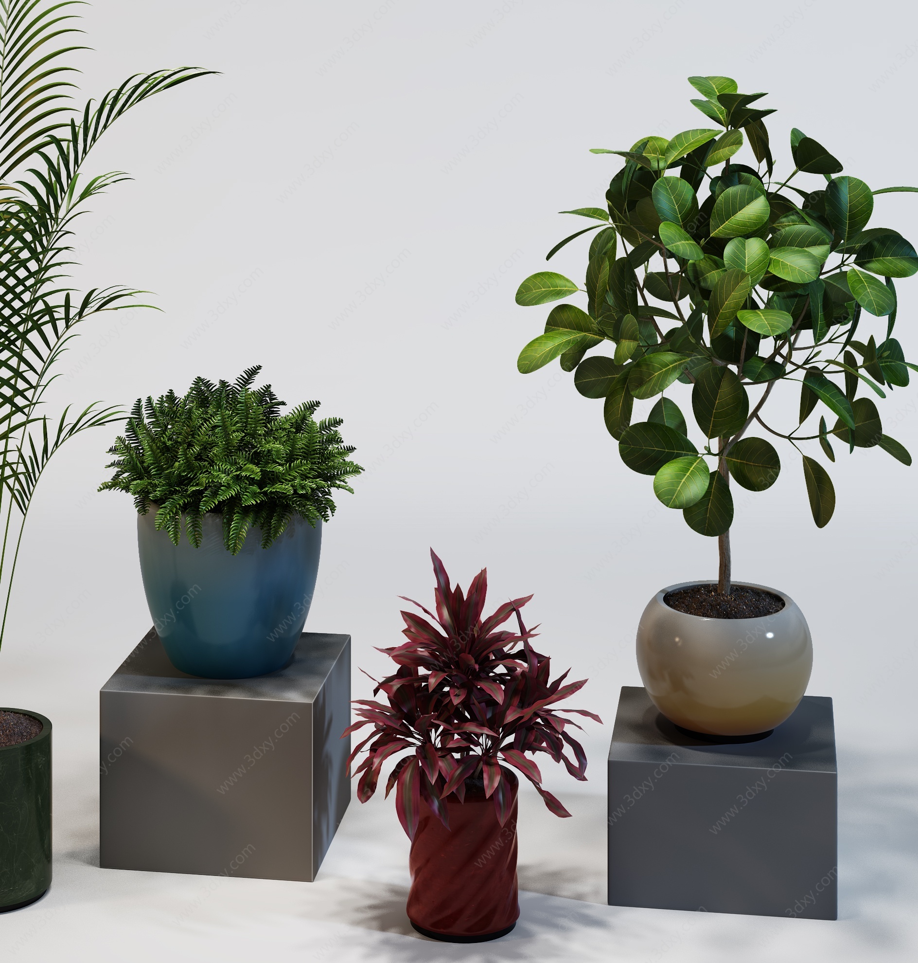 现代室内植物盆景组合3D模型