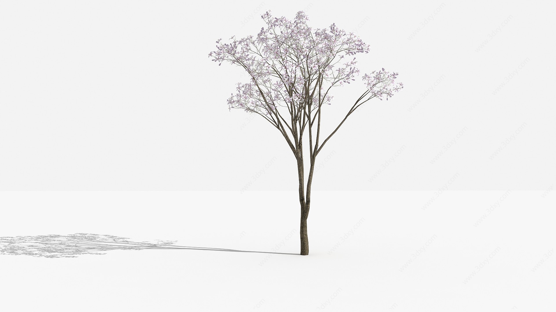 中式白花羊蹄树灌木3D模型