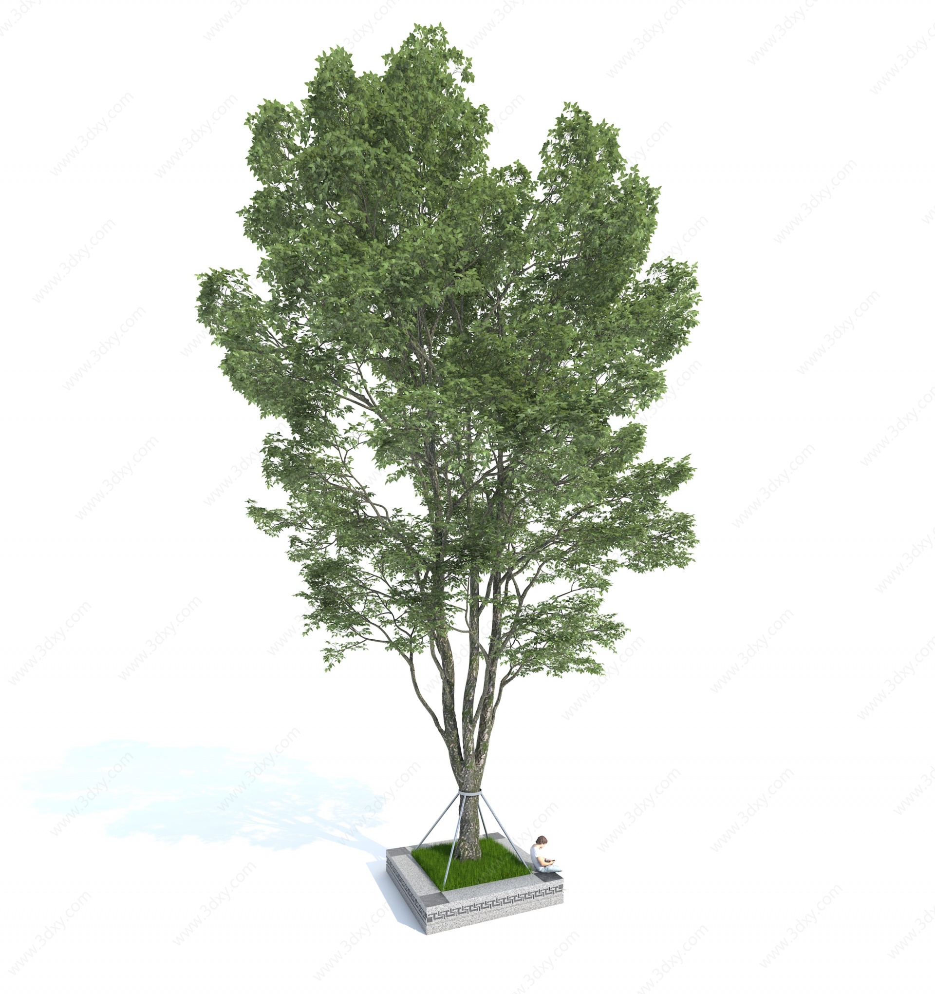 中式树景观树3D模型