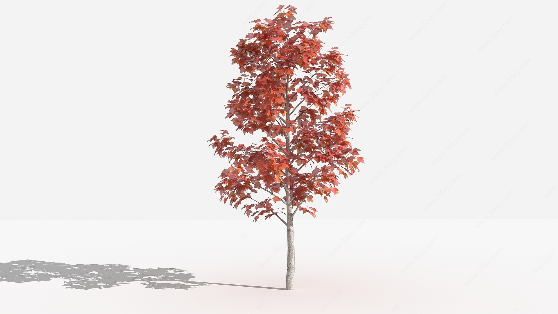 枫香灌木树植物花草景观3D模型