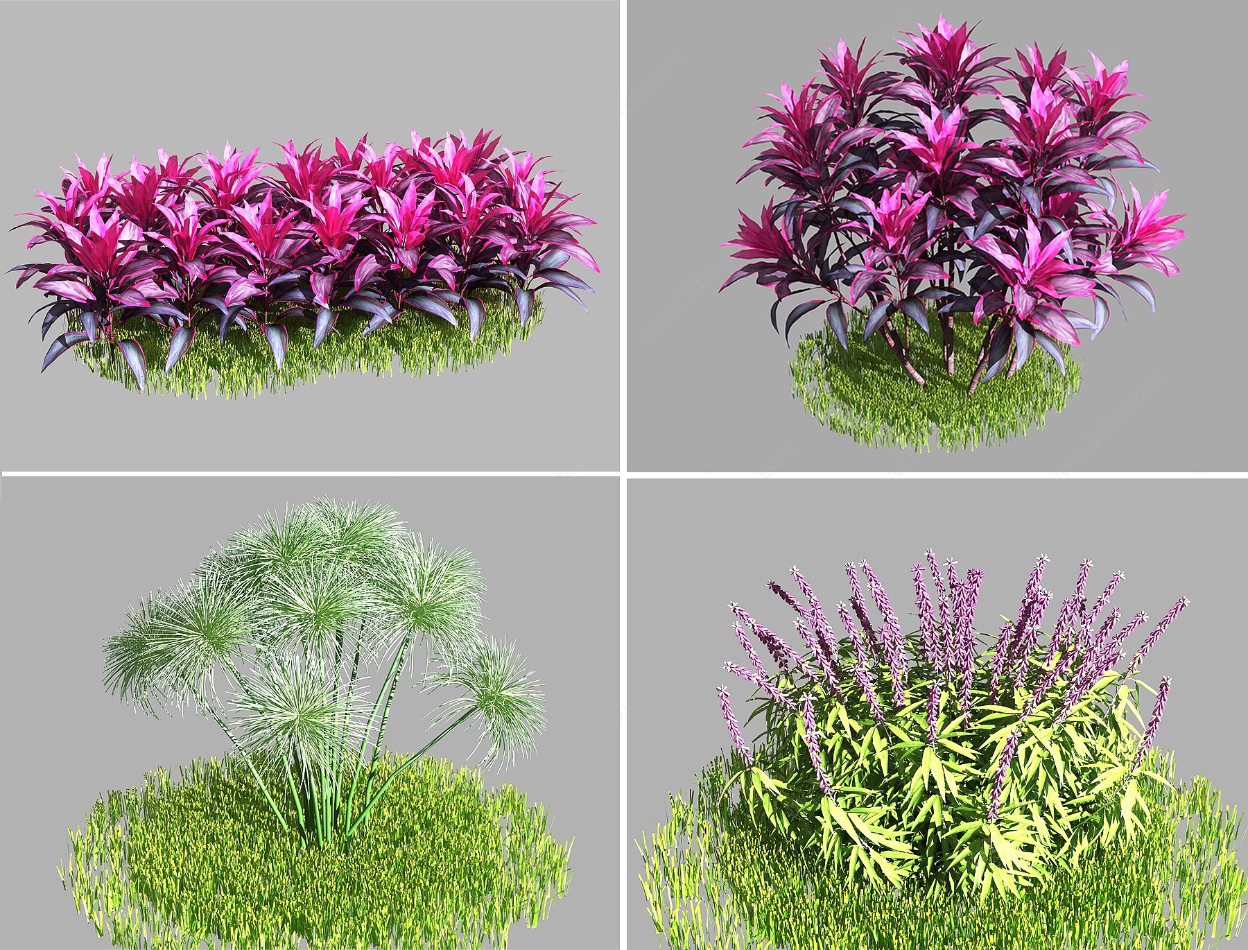 现代灌木花丛3D模型