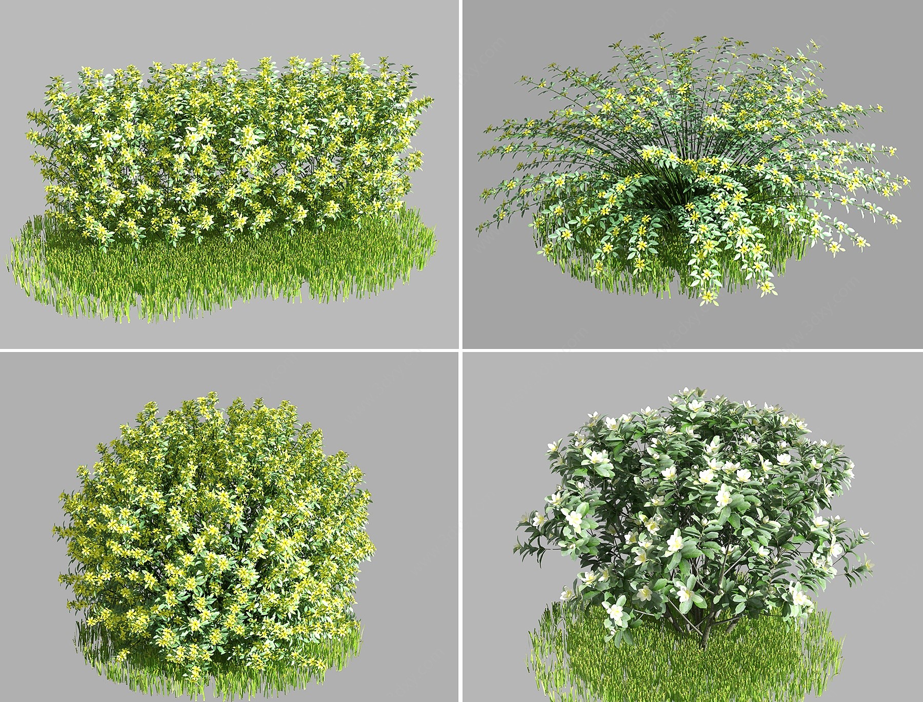 现代灌木花丛3D模型